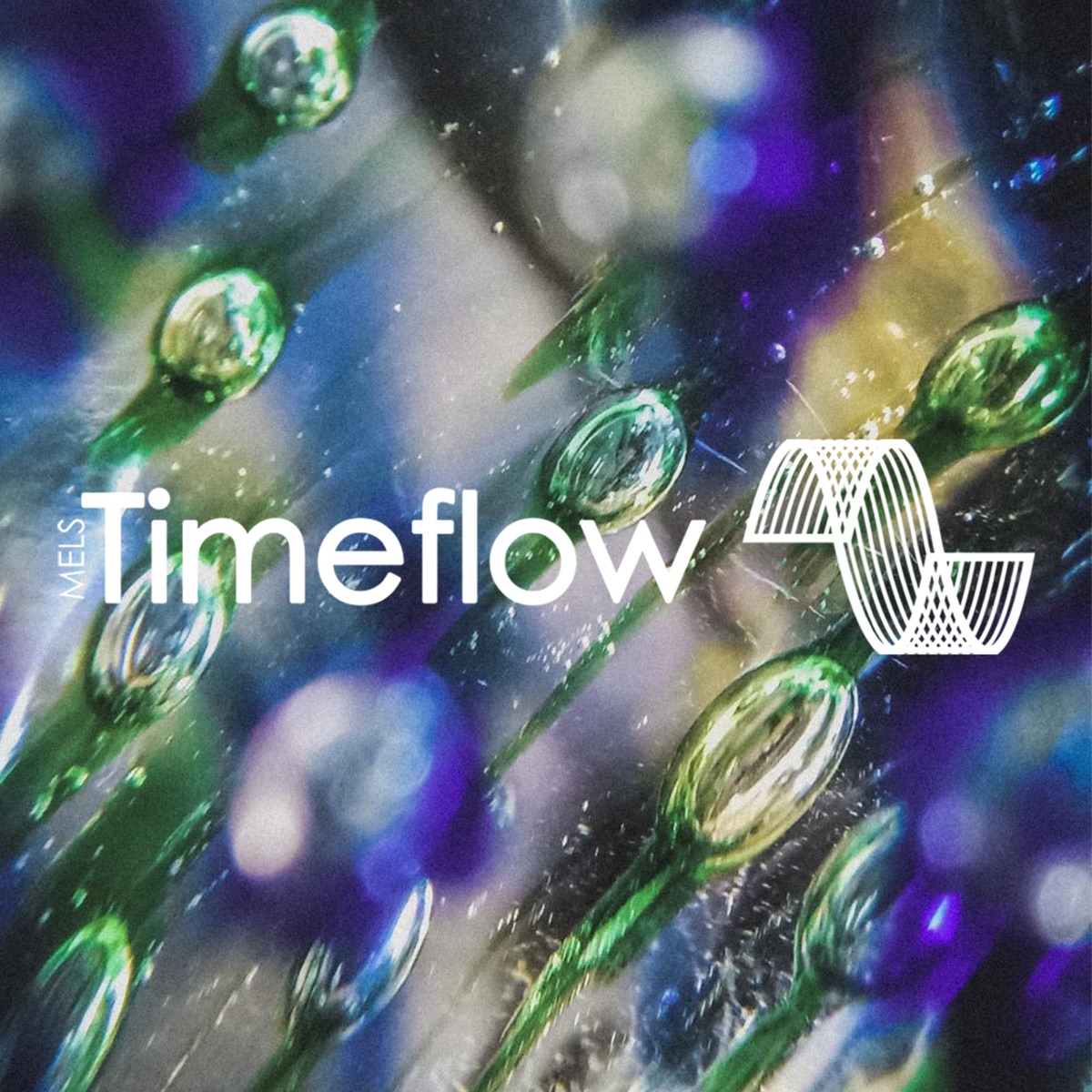 Timeflow - Single by M.E.L.S. album cover