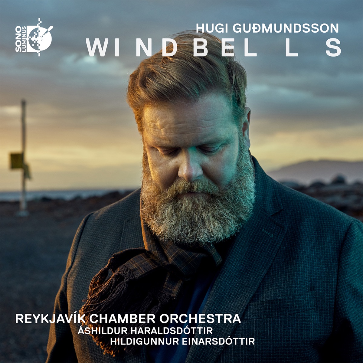 Windbells by Reykjavik Chamber Orchestra, Hildigunnur Einarsdóttir & Áshildur Haraldsdóttir album cover