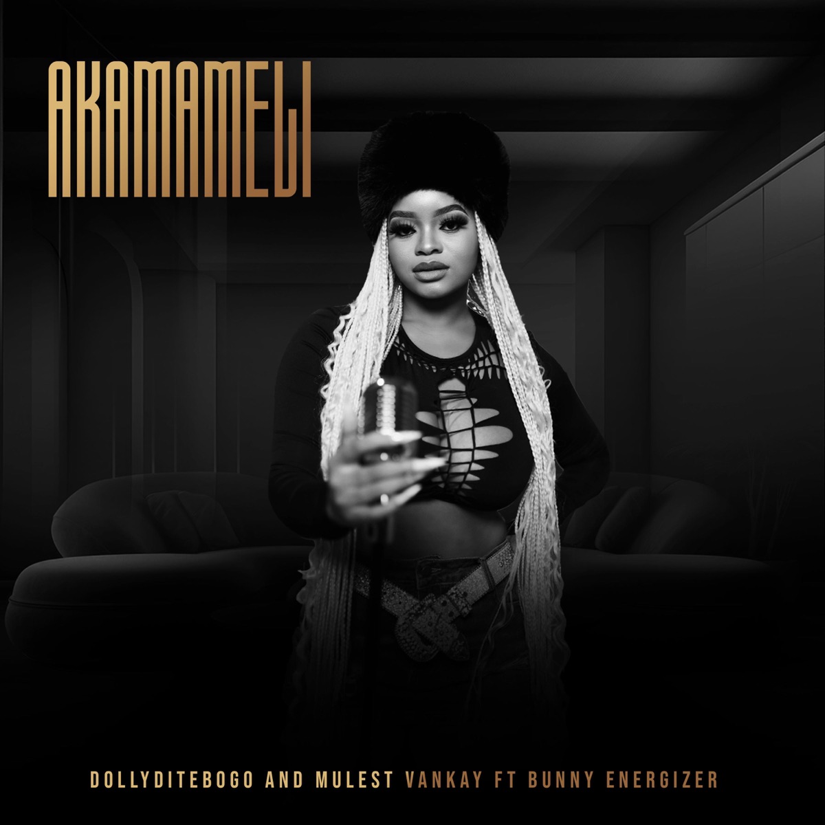 Akamameli (feat. Mulest Vankay & Bunny Energizer) - Single by Dolly Ditebogo album cover