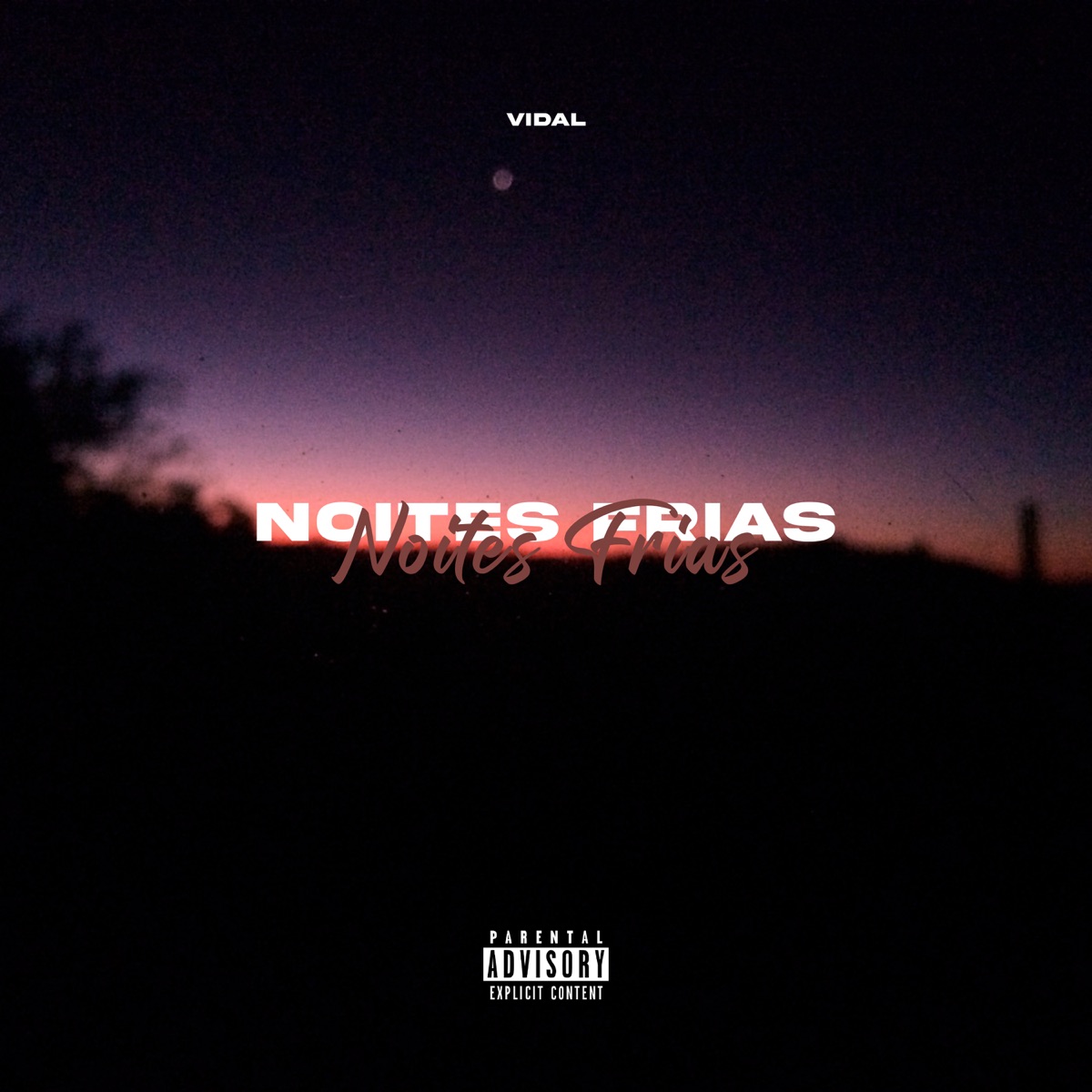 Noites Frias - Single by Vidal & gkbeats album cover