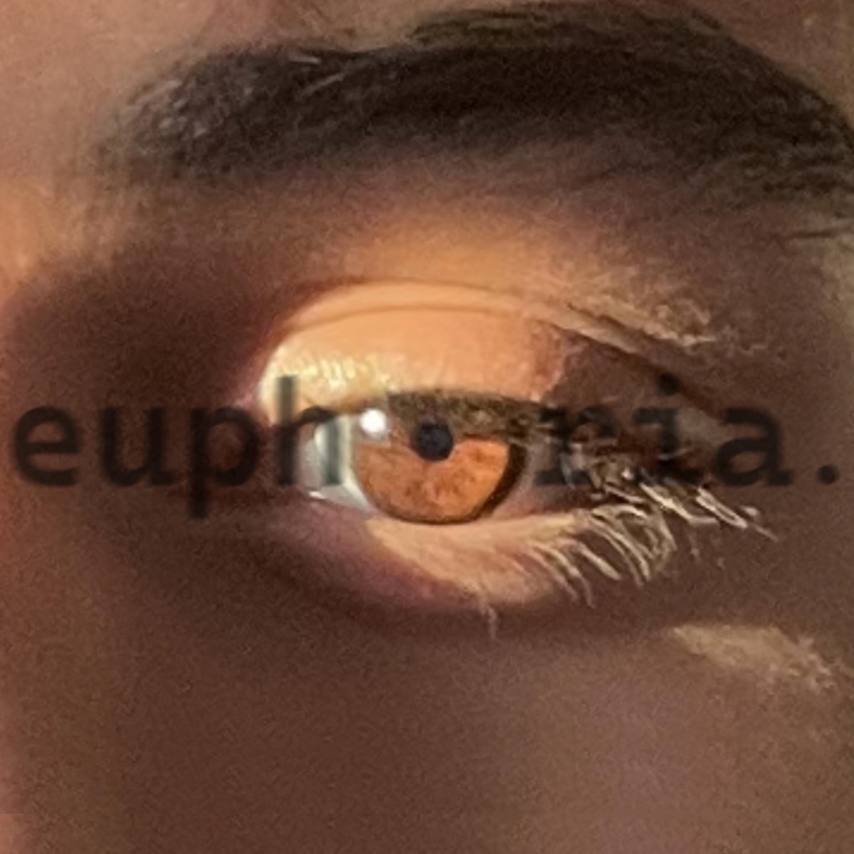 Euphoria - Single by NNEmichael album cover