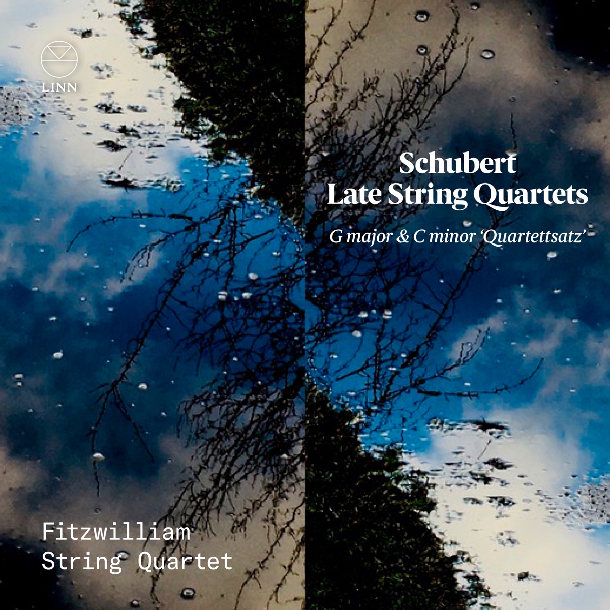 Schubert: Late String Quartets. G Major & C Minor 'Quartettsatz' by Fitzwilliam String Quartet album cover