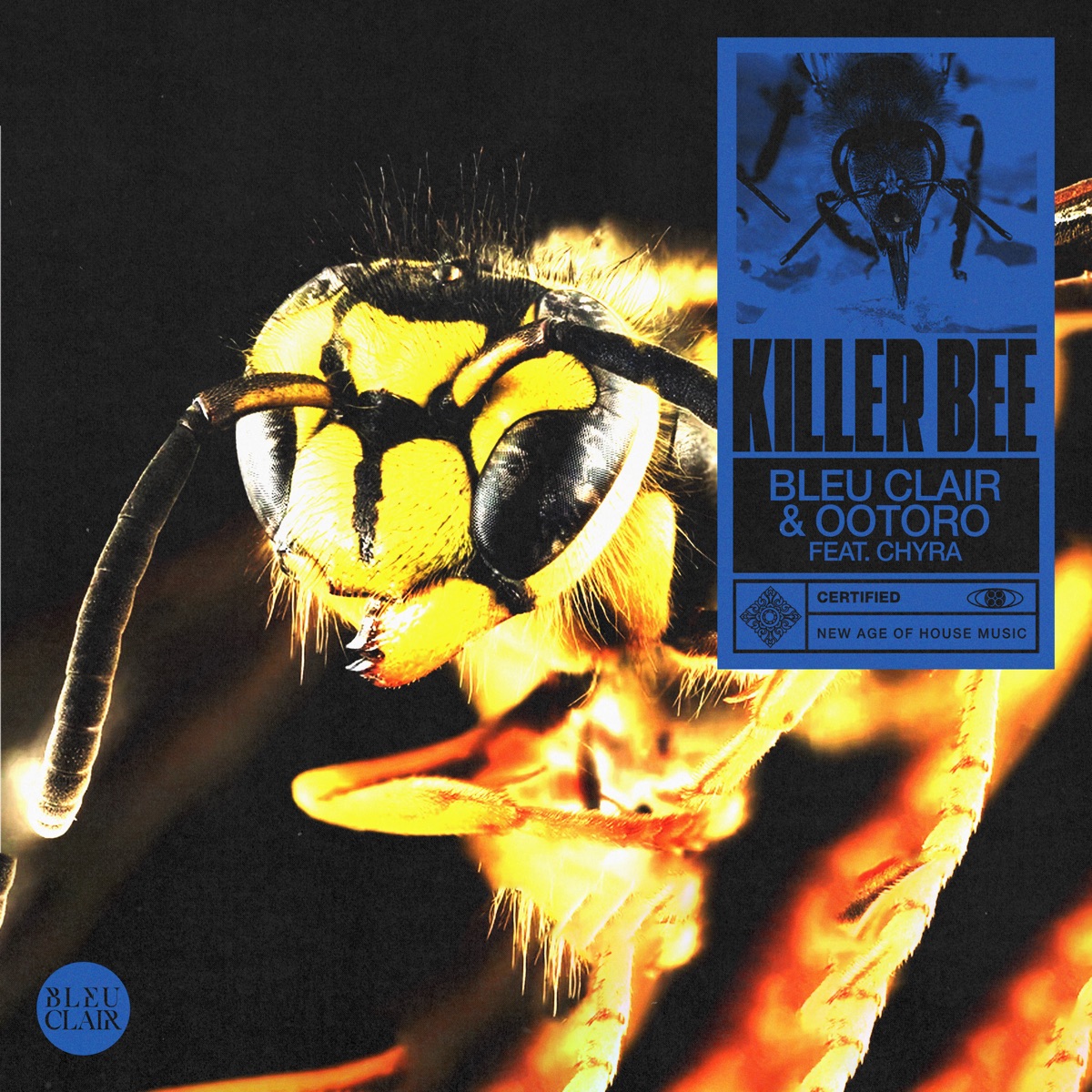 Killer Bee (feat. Chyra) - Single by Bleu Clair & OOTORO album cover