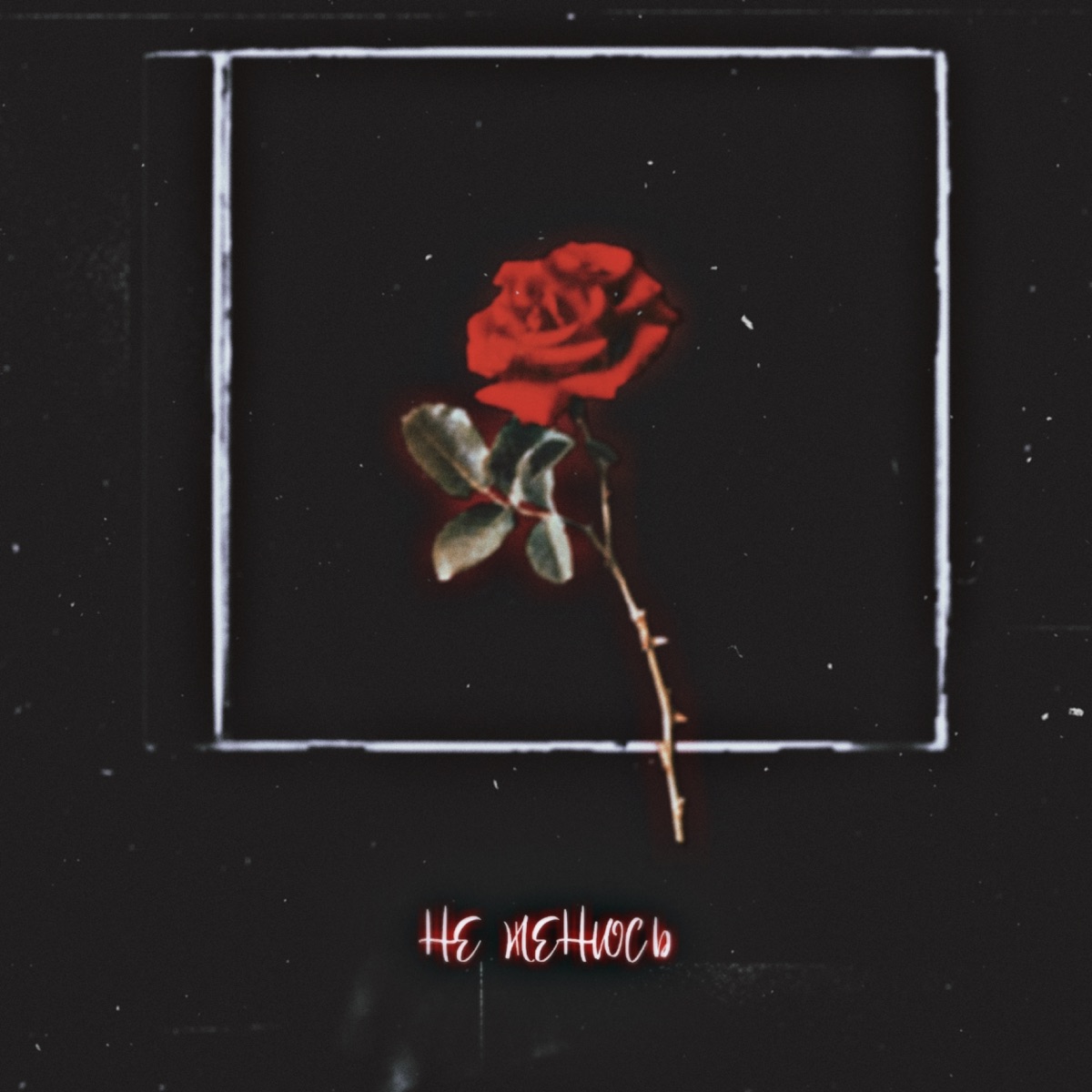 Не женюсь - Single by Матвей Савельев album cover