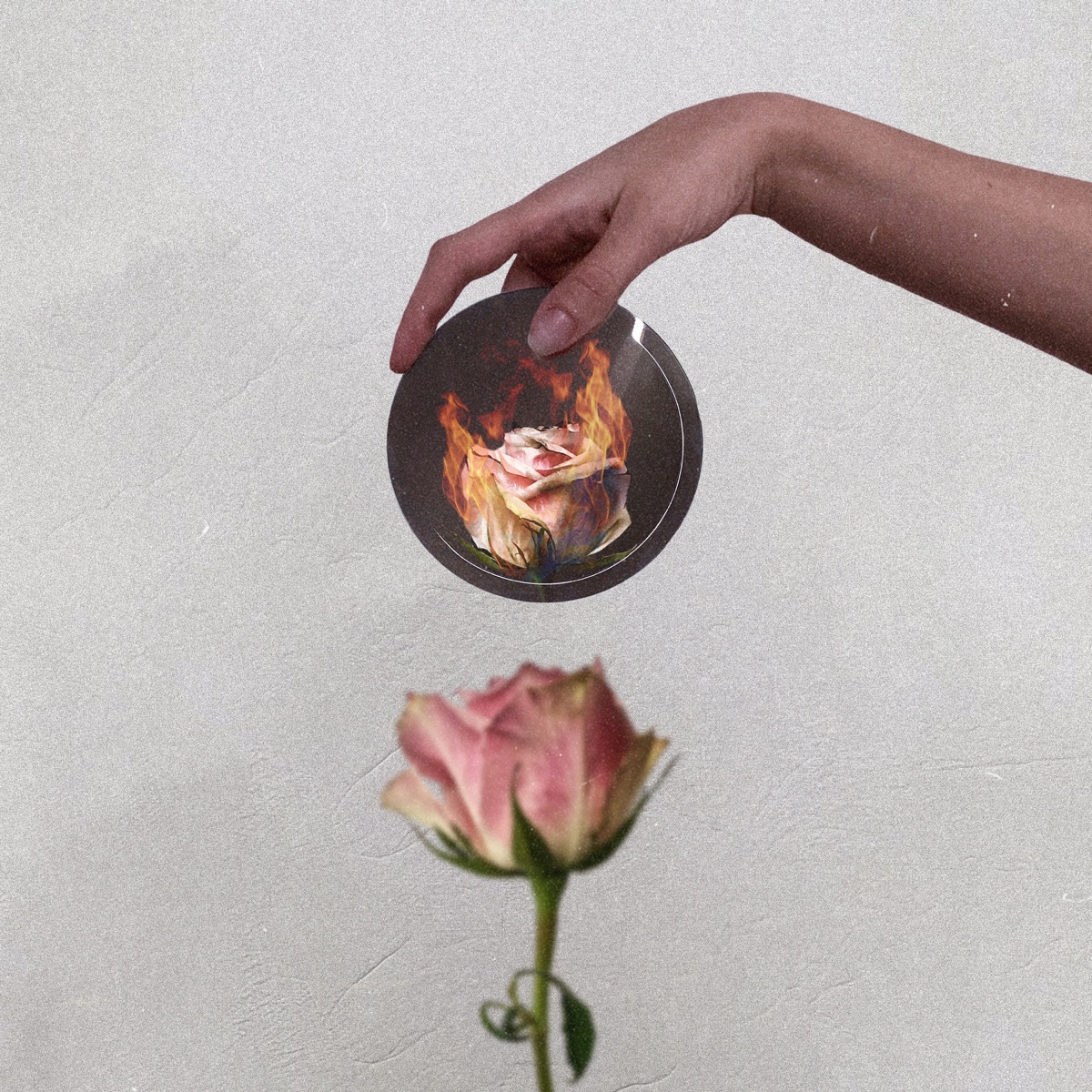 All Fine / eniF llA by Stain the Canvas album cover