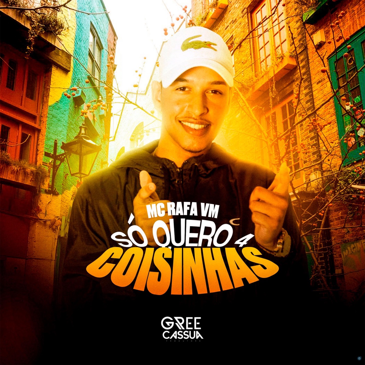 Só Quero 4 Coisinhas - Single by MC Rafa VM & DJ V.D.S Mix album cover