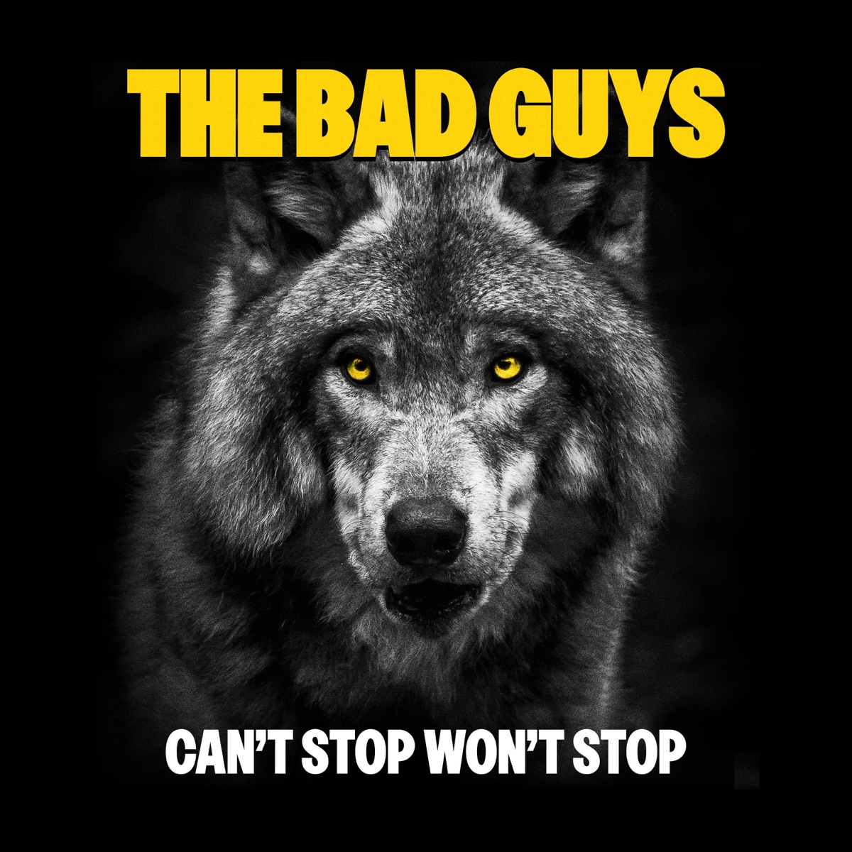 The Bad Guys - Single by Can't Stop Won't Stop album cover