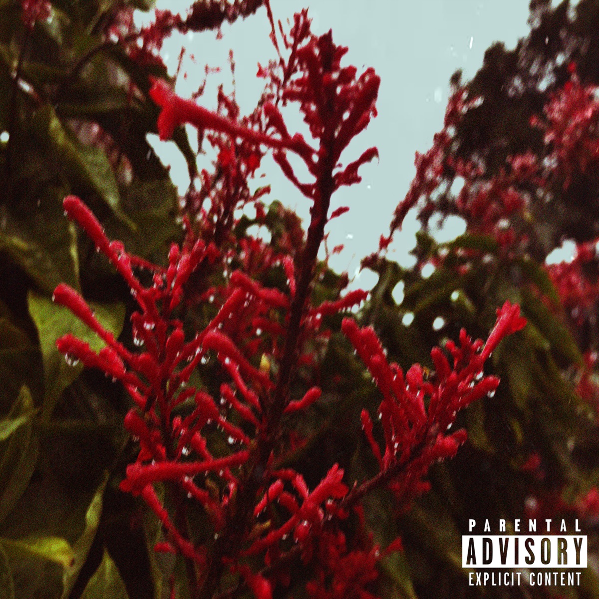 Olha a Gente Brigando Dnv - Single by Kalima & Dubois Sandro album cover