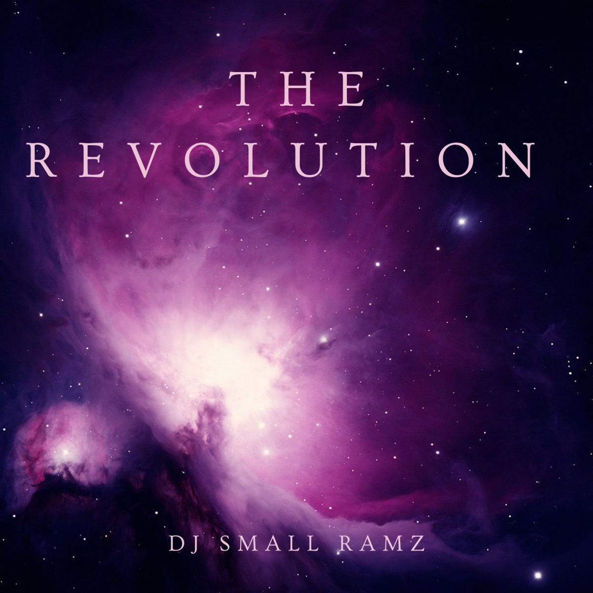 The Revolution - Single by DJ Small Ramz & AKID album cover