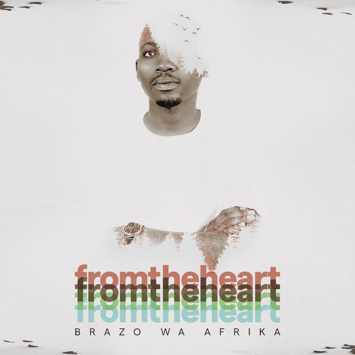 From the Heart by Brazo Wa Afrika album cover