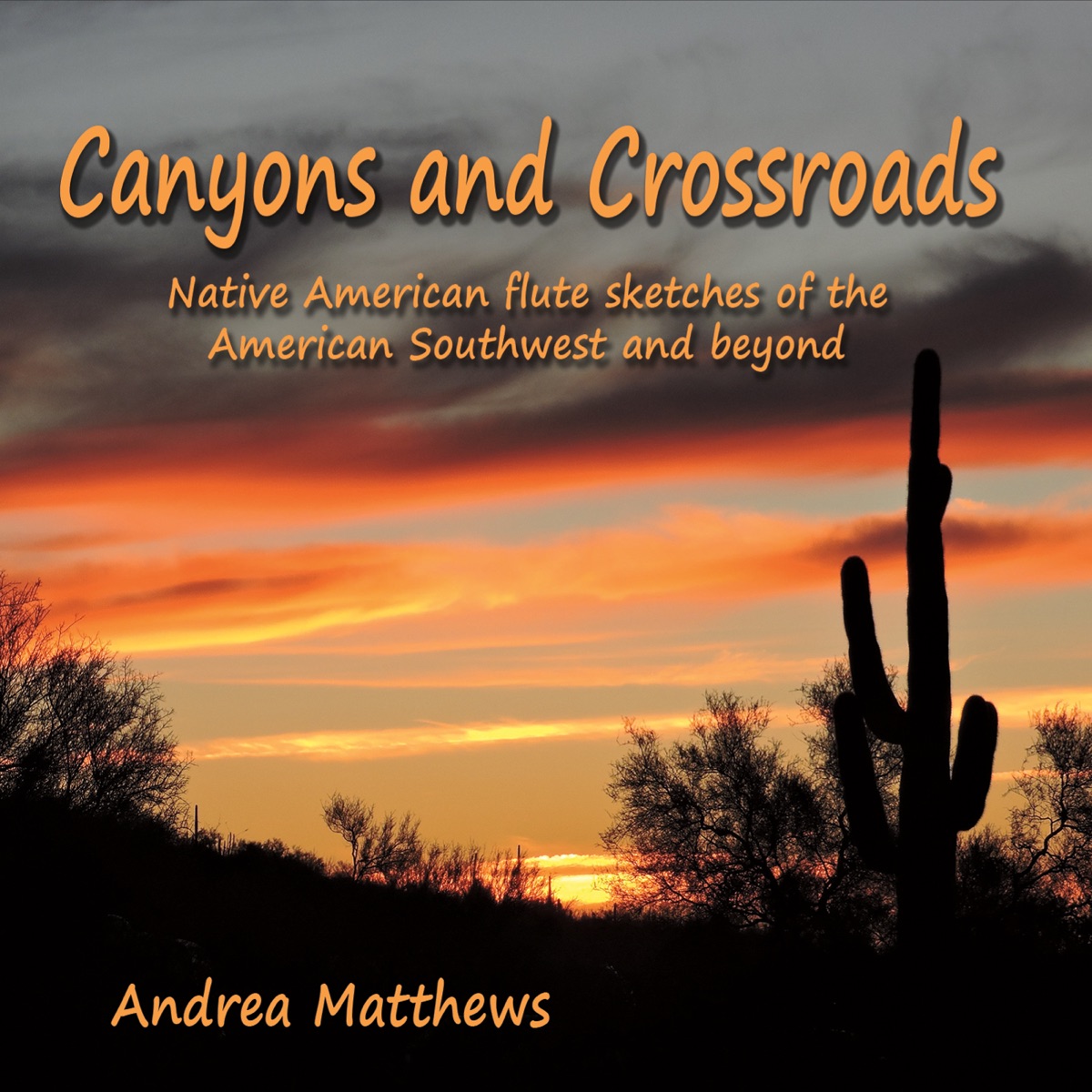 Canyons and Crossroads by Andrea Matthews album cover
