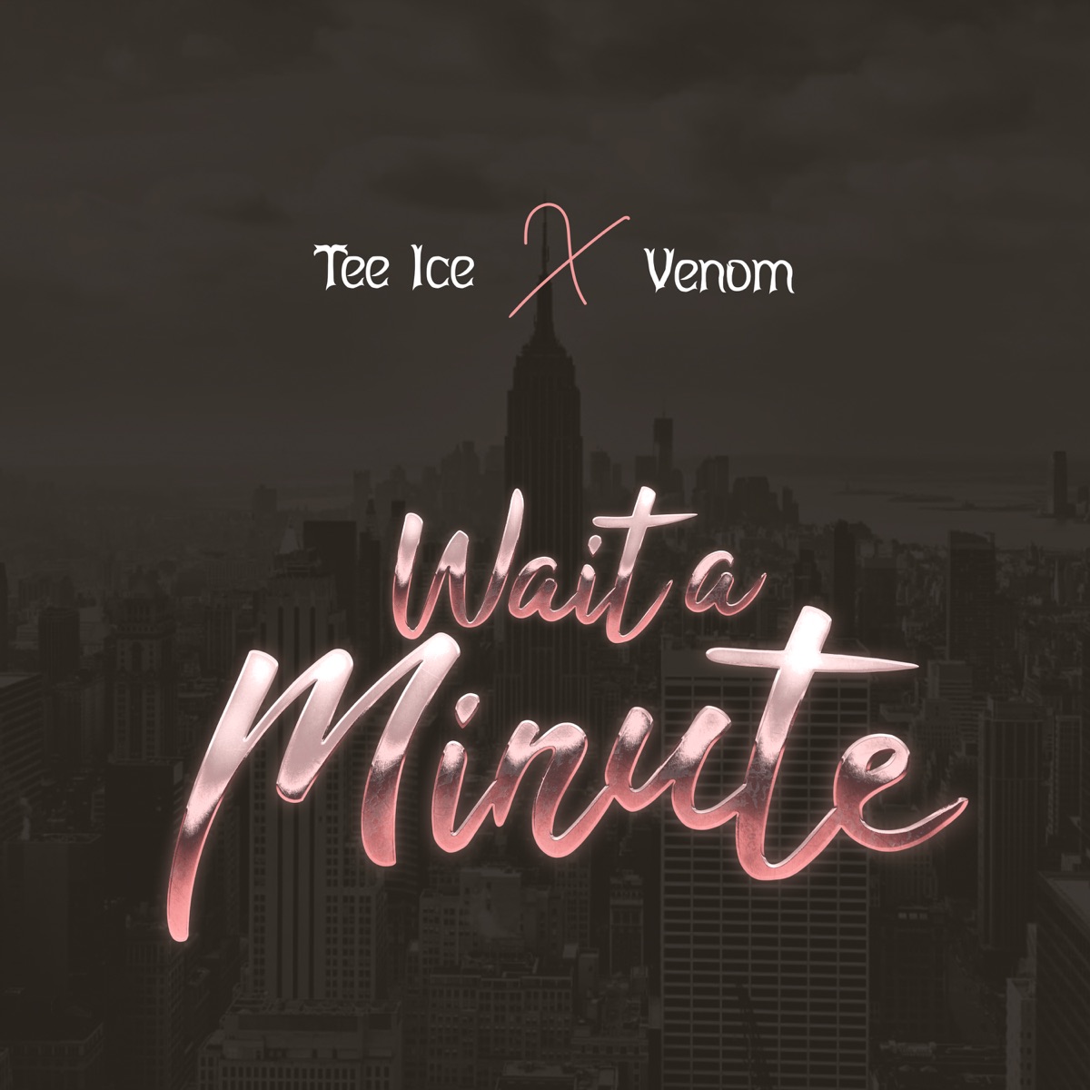 Wait a Minute (feat. Venom) - Single by Tee Ice album cover