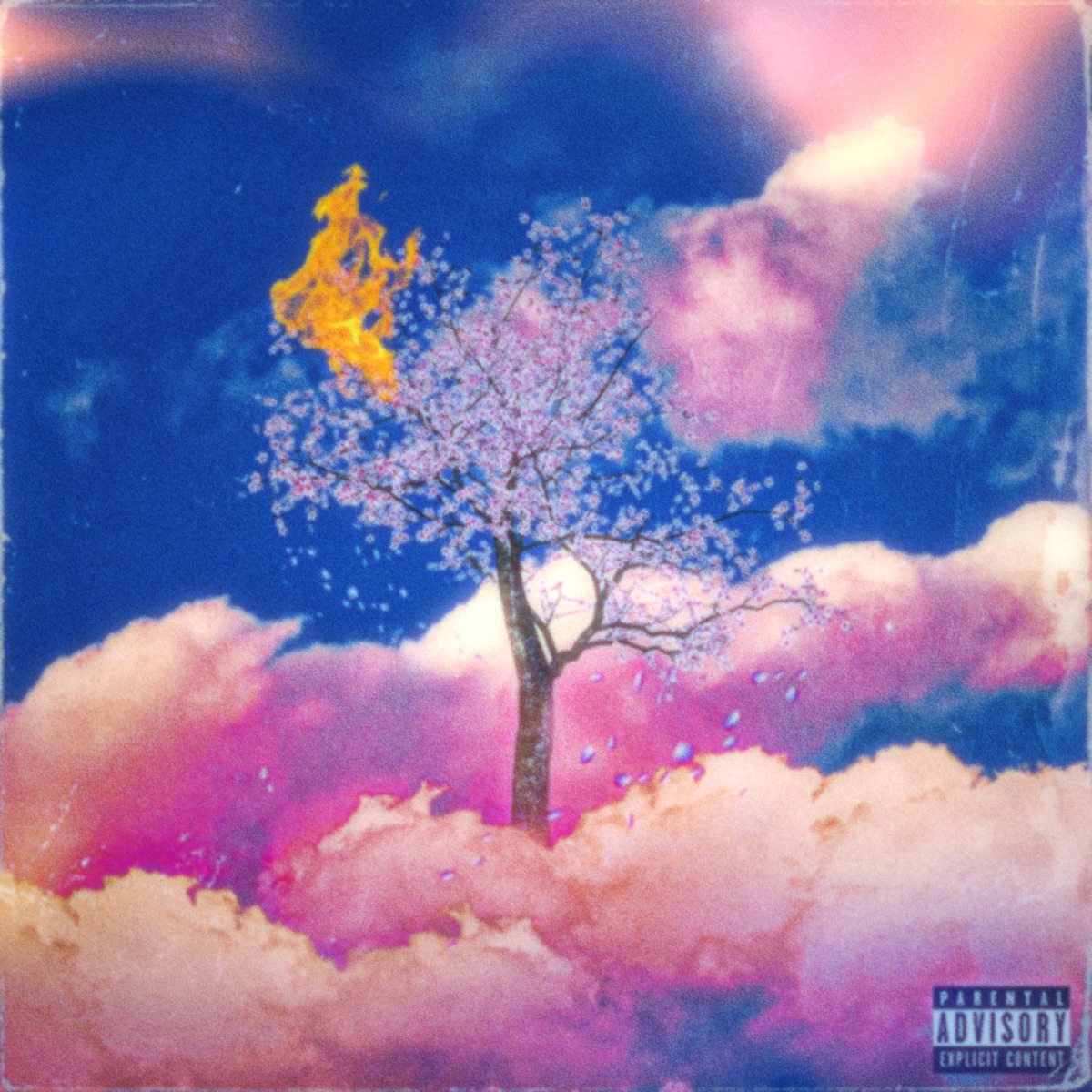 Sakura by AIYKO album cover
