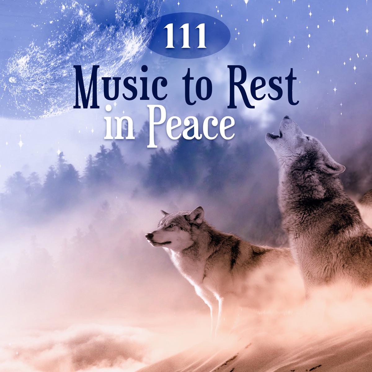 111 Music to Rest in Peace: Songs & Nature Sounds for Deep Sleep, White Noise for Dreaming, Celtic Harp Music, Health, Vitality & Relax the Mind by Peaceful Sleep Music Collection album cover