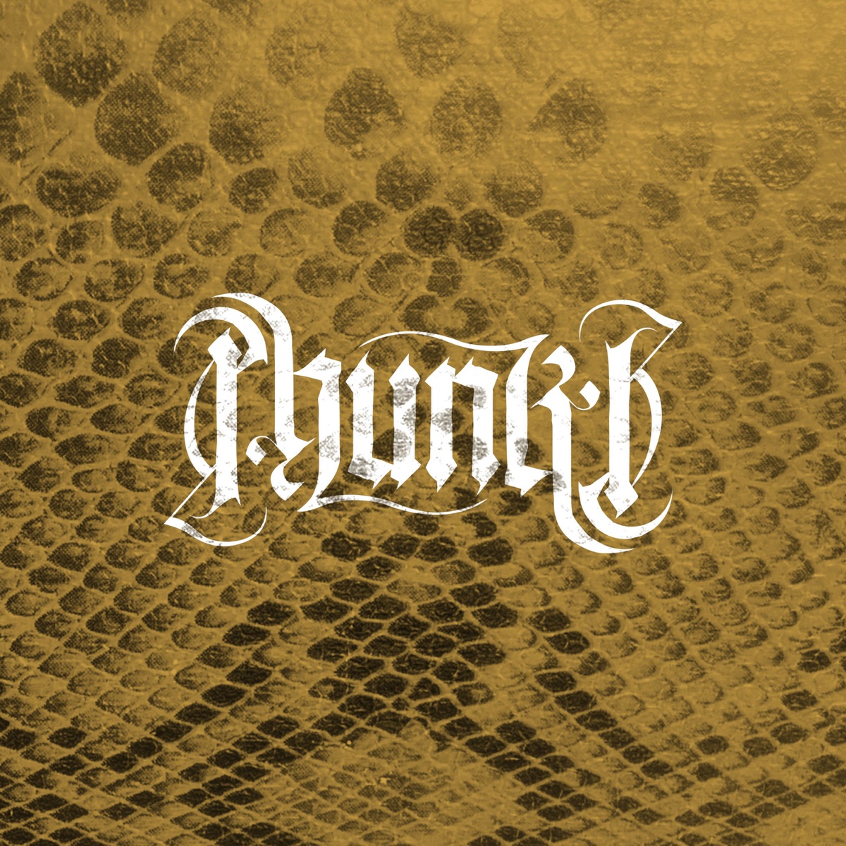 Tessellata 19 - Single by Phunk B album cover
