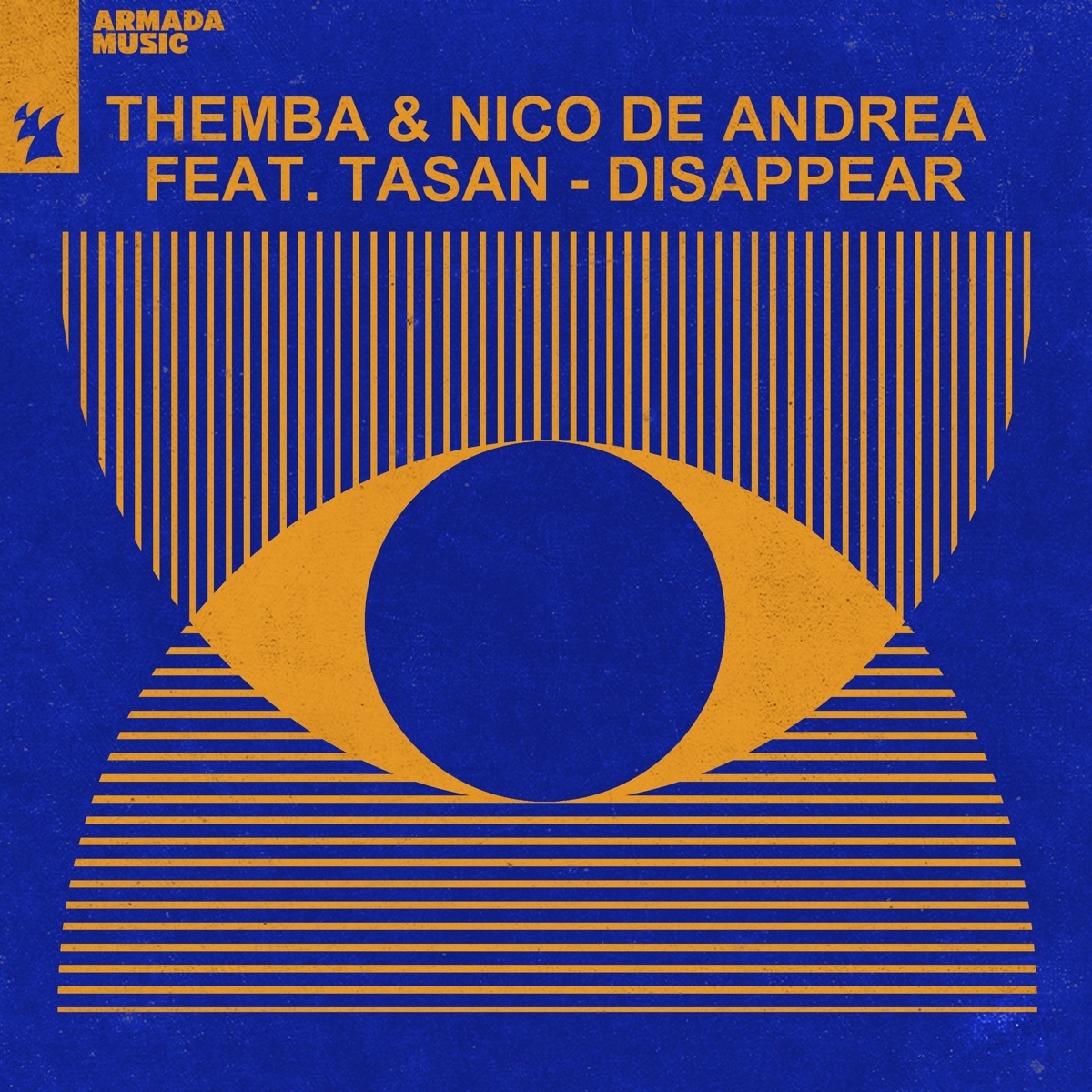 Disappear (feat. Tasan) - Single by THEMBA & Nico de Andrea album cover