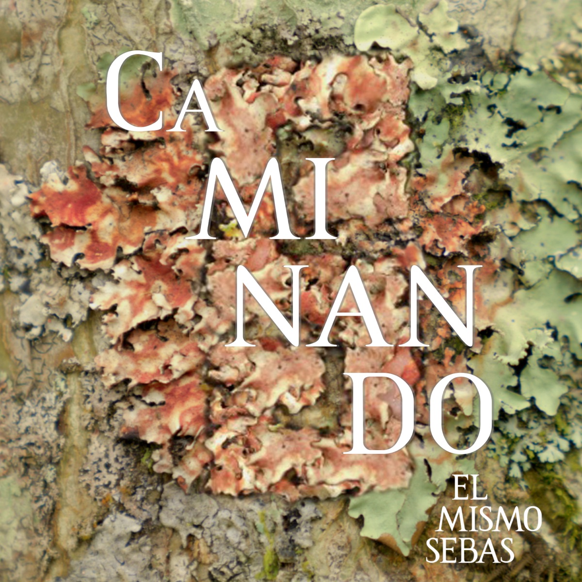 Caminando - Single by ElMismoSebas album cover