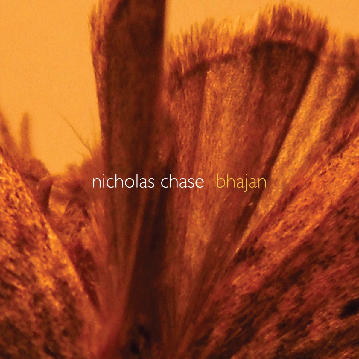 Nicholas Chase: Bhajan by Robin Lorentz & Nicholas Chase album cover