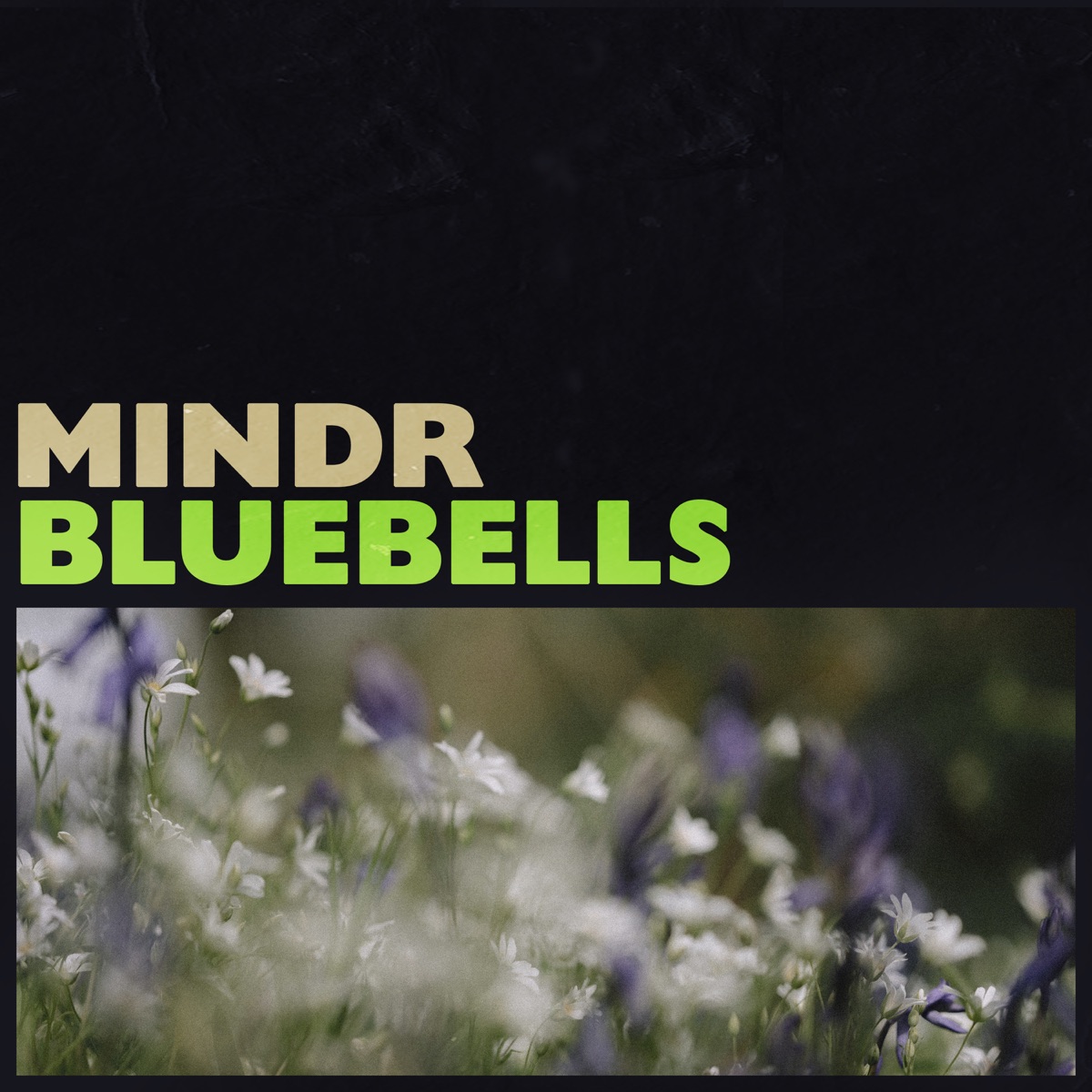 Bluebells - Single by Mindr album cover
