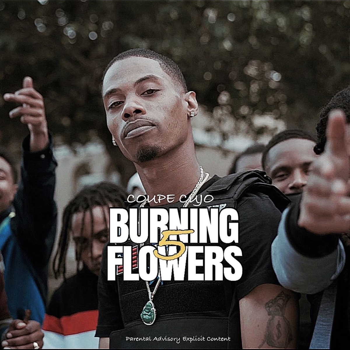Burning Flowers 5 by Coupe Cujo album cover