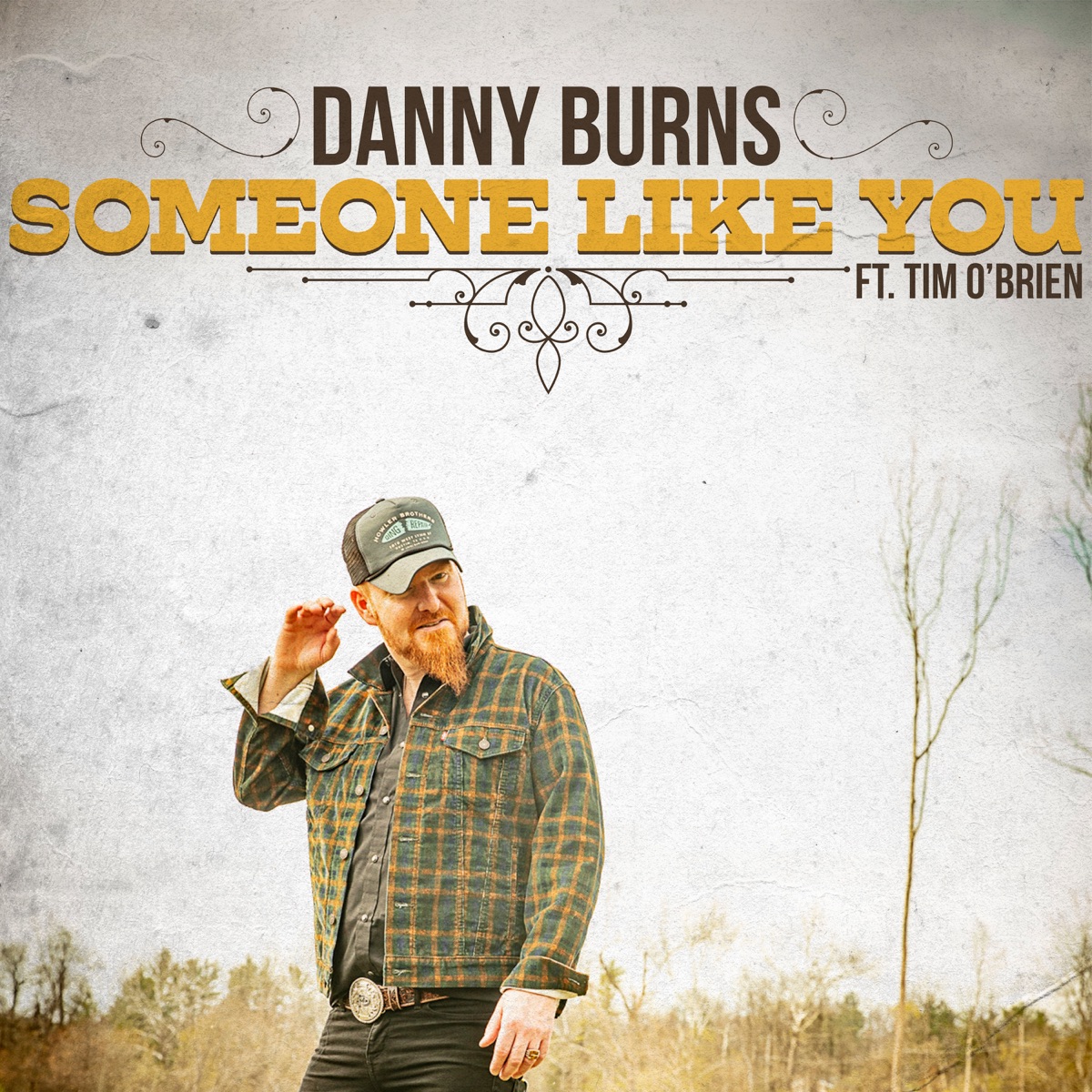 Someone Like You (feat. Tim O'Brien) - Single by Danny Burns album cover