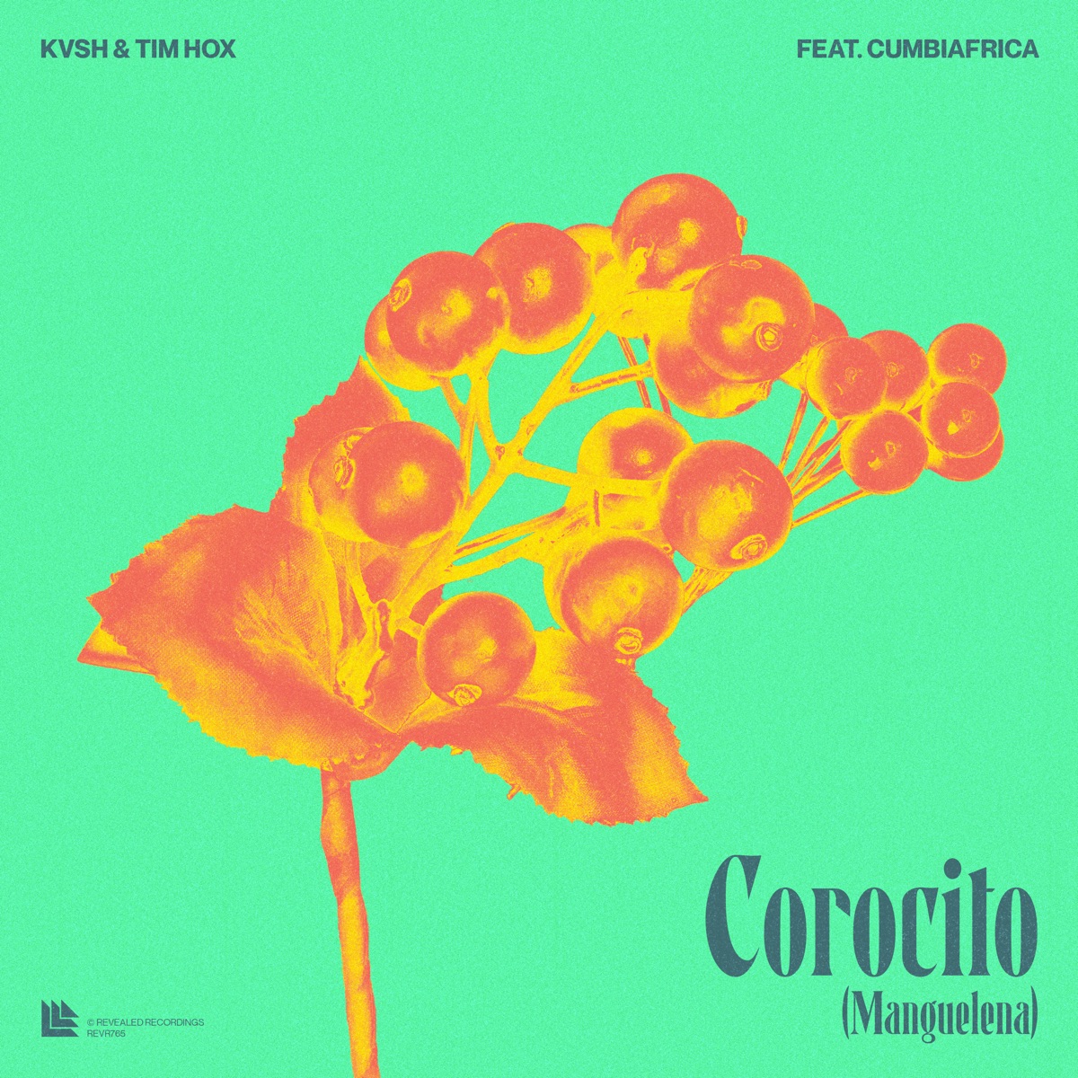 Corocito (Manguelena) - Single by Kvsh, Tim Hox & Cumbiafrica album cover