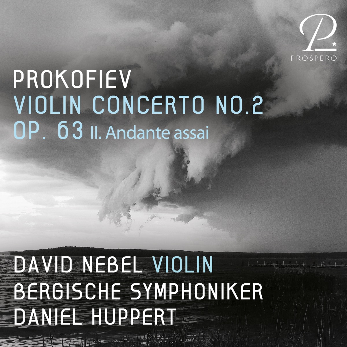 Violin Concerto No. 2, Op. 63, II. Andante assai - Single by David Nebel, Bergische Symphoniker & Daniel Huppert album cover