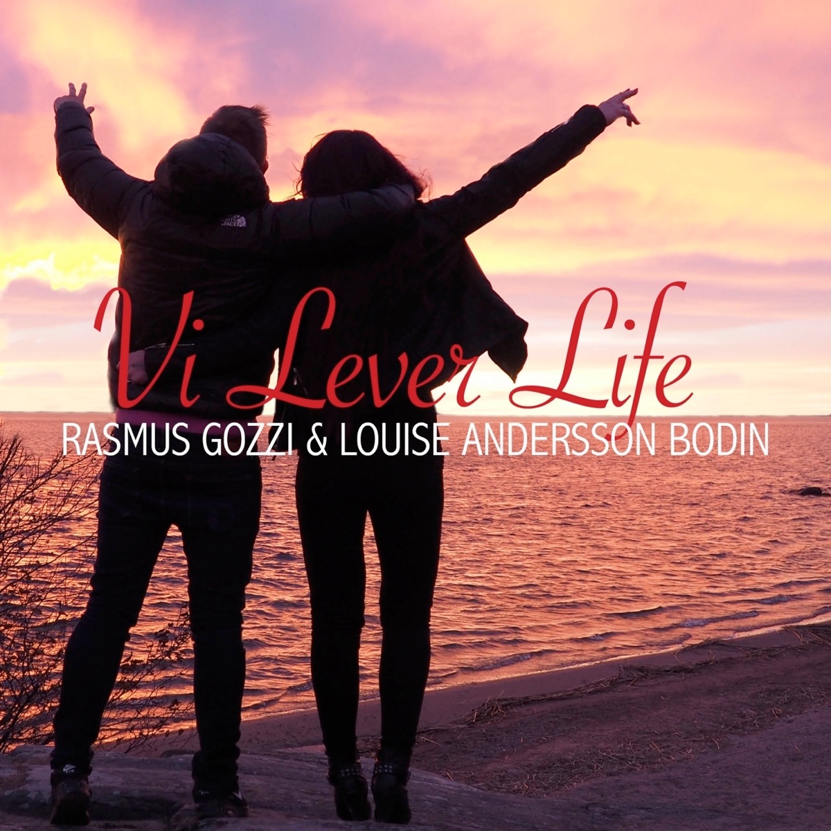 Vi Lever Life by Rasmus Gozzi & Louise Andersson Bodin album cover