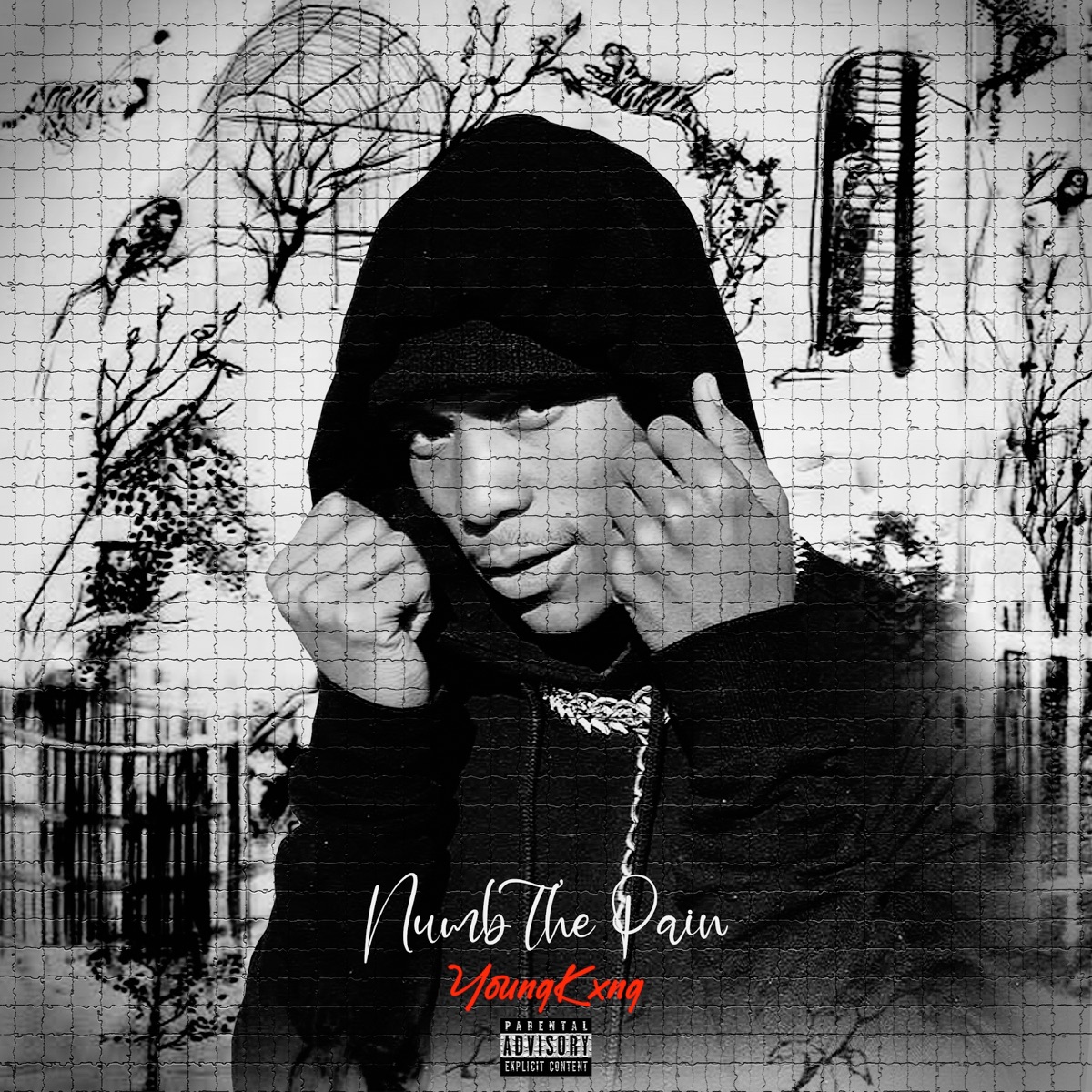 Numb the Pain - Single by YoungKxng album cover