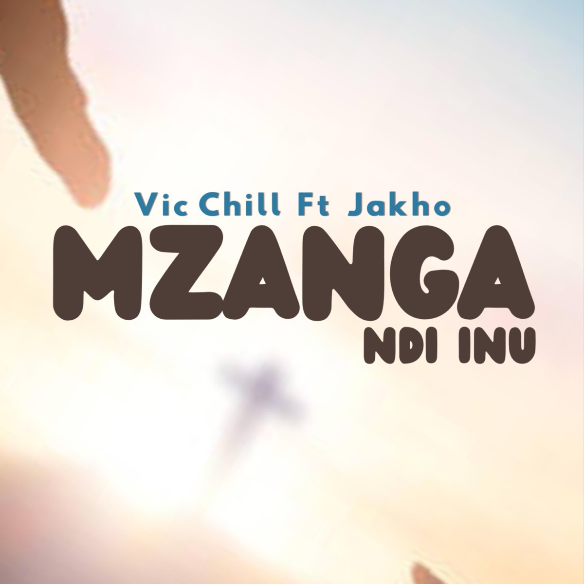 Mzanga - Single by Vicchill on the Beat album cover