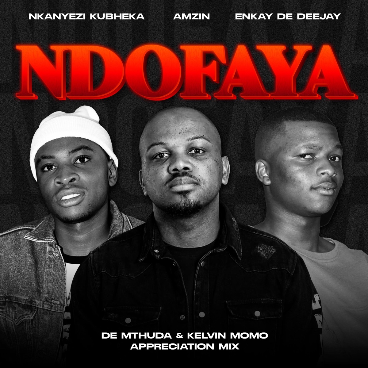 Ndofaya (De Mthuda & Kelvin Momo Appreciation Mix) - Single by Nkanyezi Kubheka, Amzin & Enkay De Deejay album cover