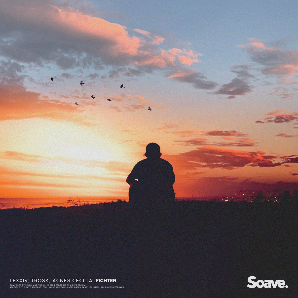 Fighter - Single by LeXxìv, Trosk & Agnes Cecilia album cover