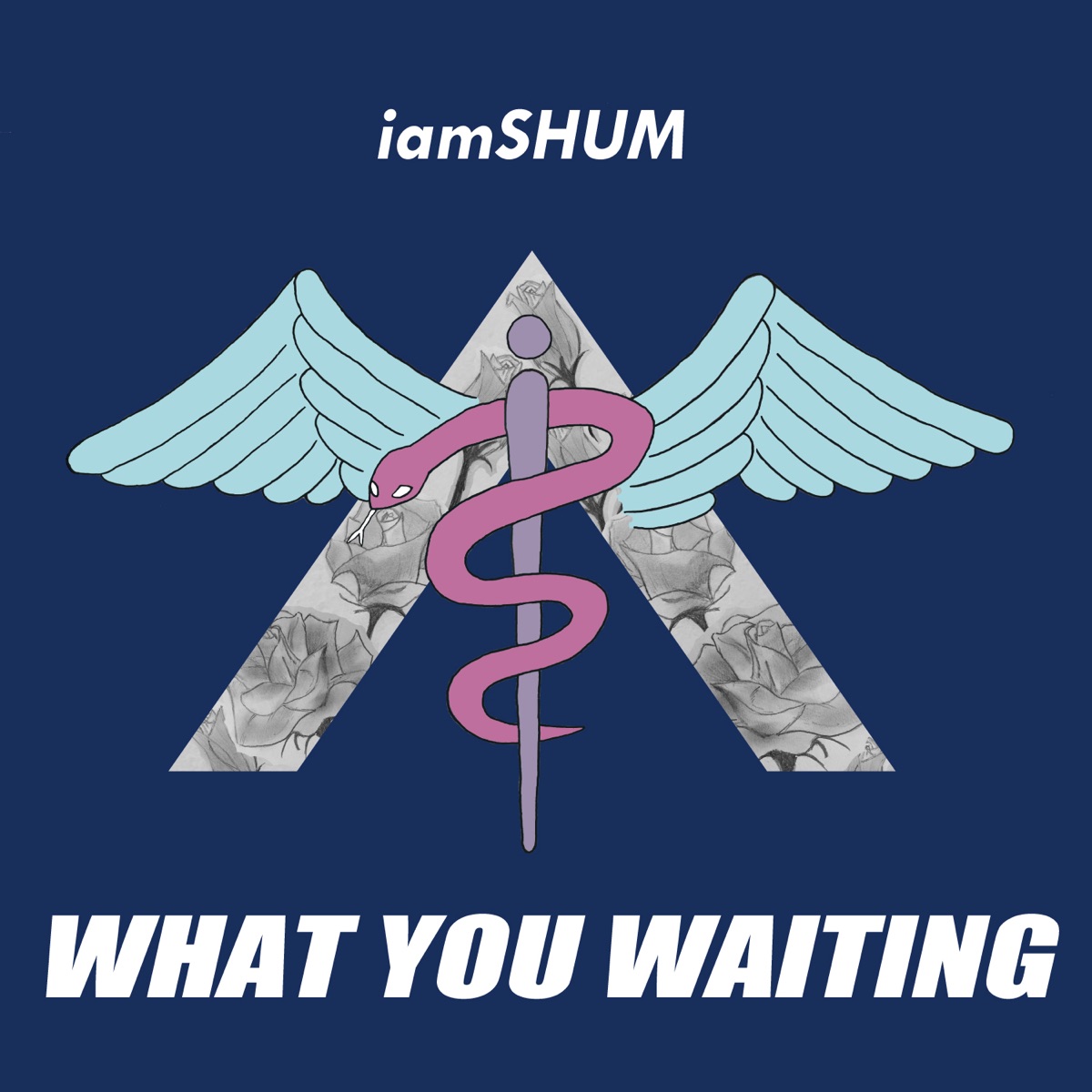 WHAT YOU WAITING - Single by iamSHUM album cover