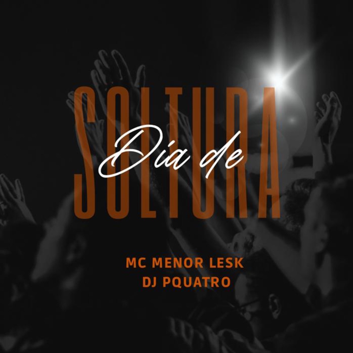 Dia de Soltura - Single by Mc Menor Lesk & DJ PQUATRO album cover