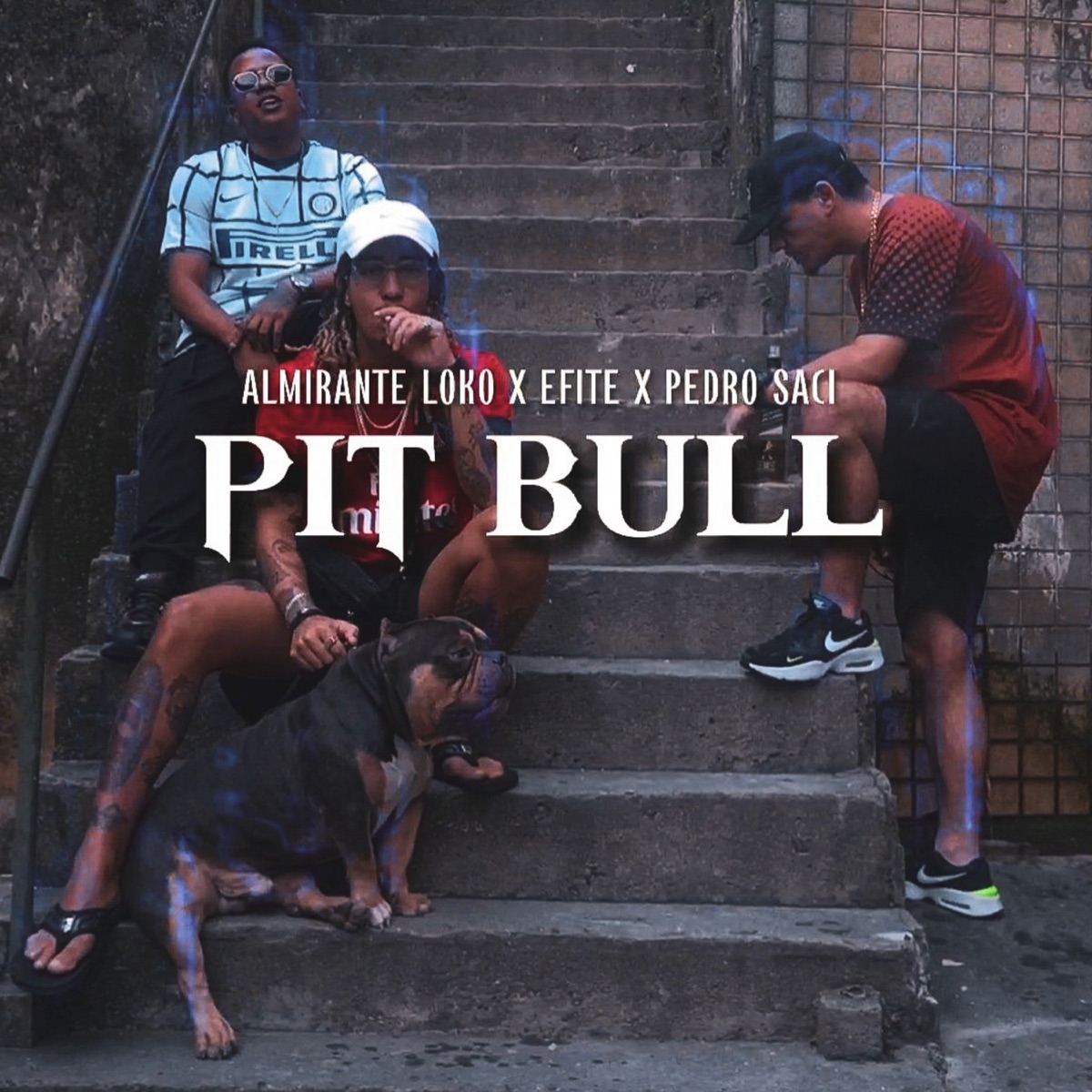 Pit Bull - Single by Efite, Almirante Loko & Pedro Saci album cover