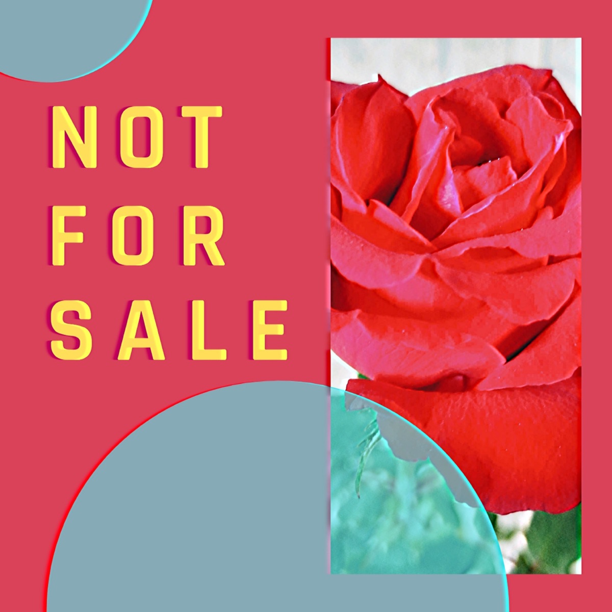 Not for Sale - Single by LAMEK album cover