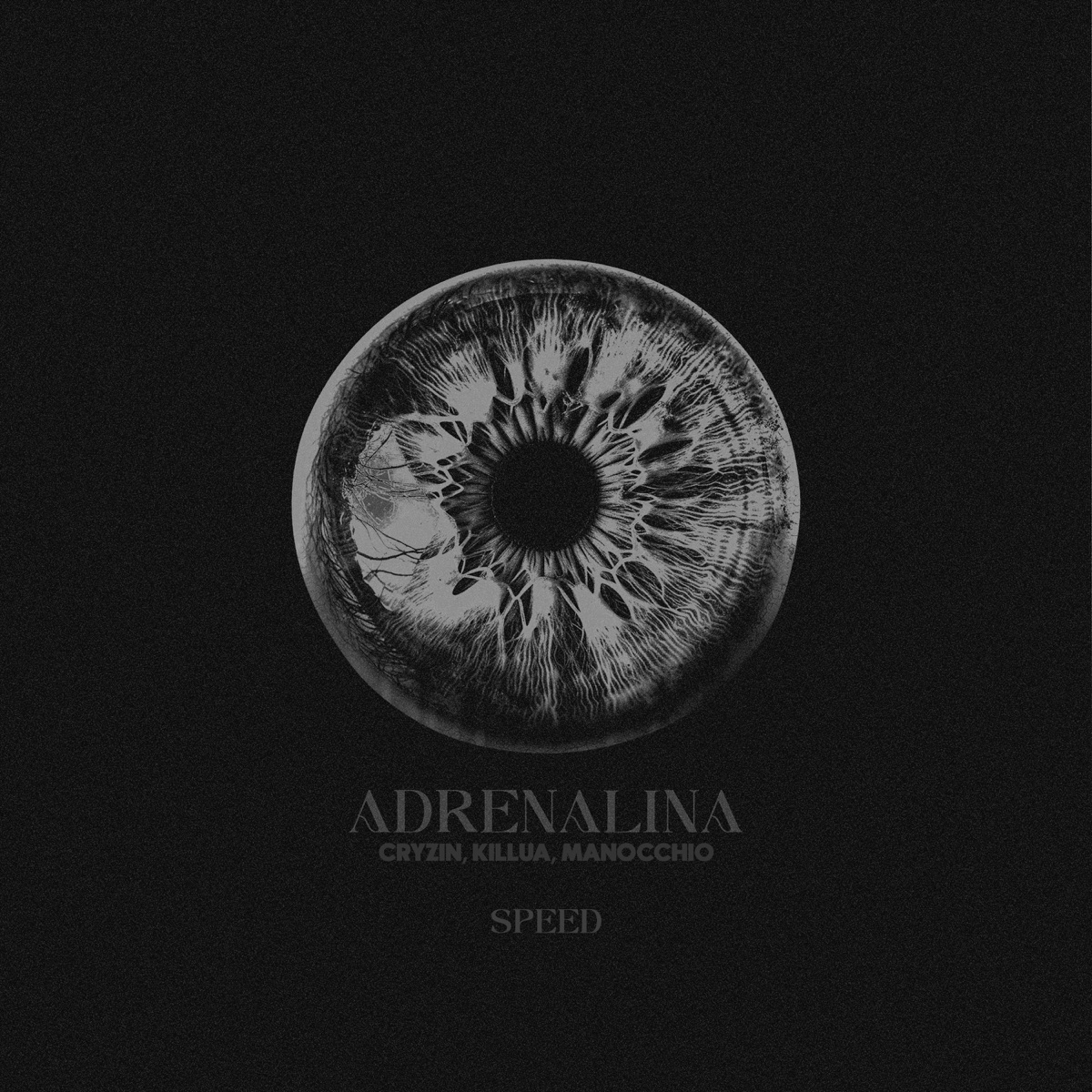 Adrenalina (Speed) - Single by Cryzin, Killua & Manocchio album cover