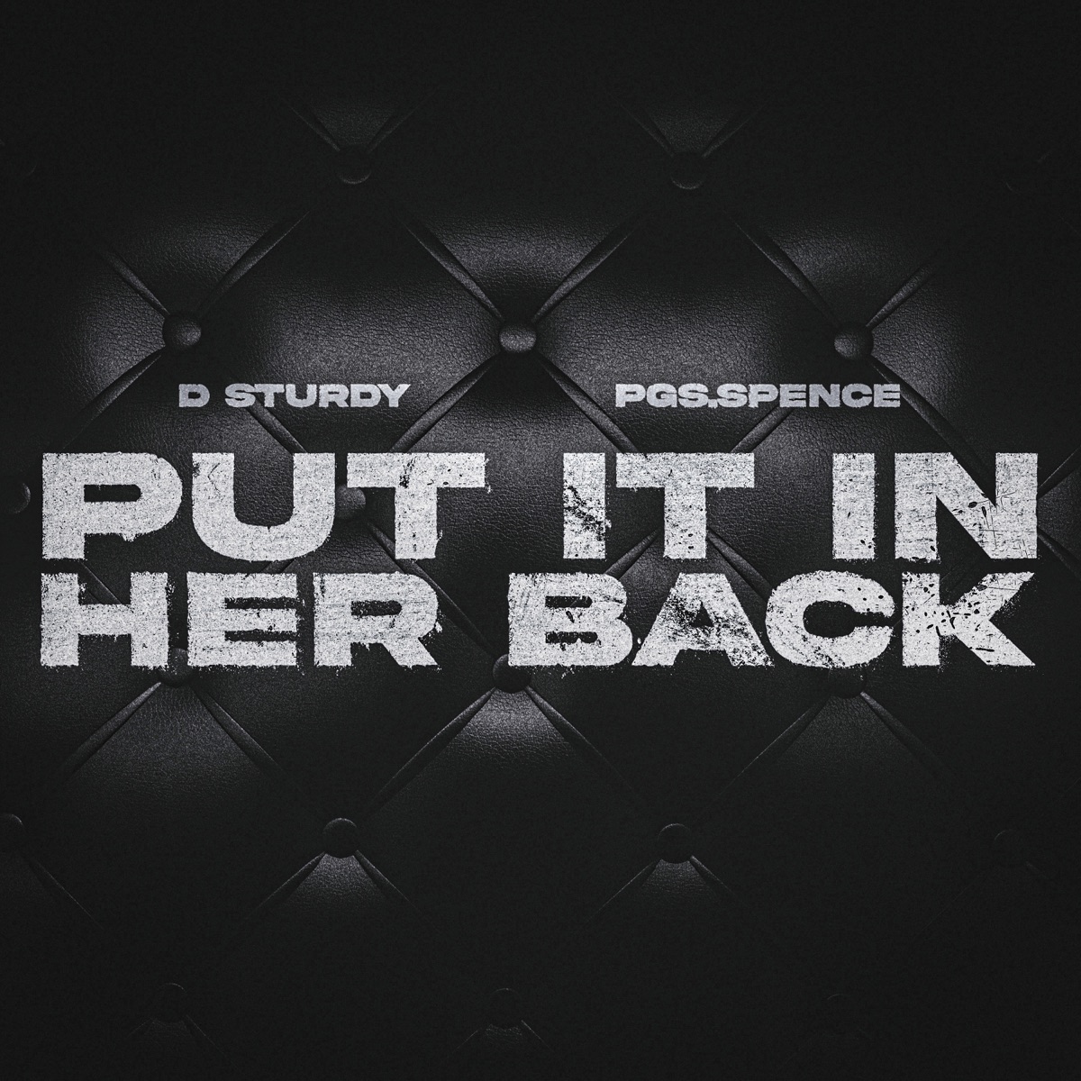 Put It In Her Back - Single by D STURDY & PGS Spence album cover
