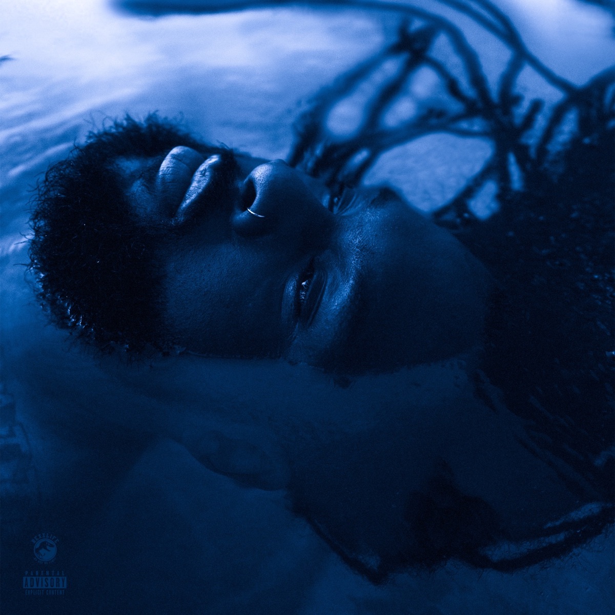 The Blue Hour by Rexx Life Raj album cover