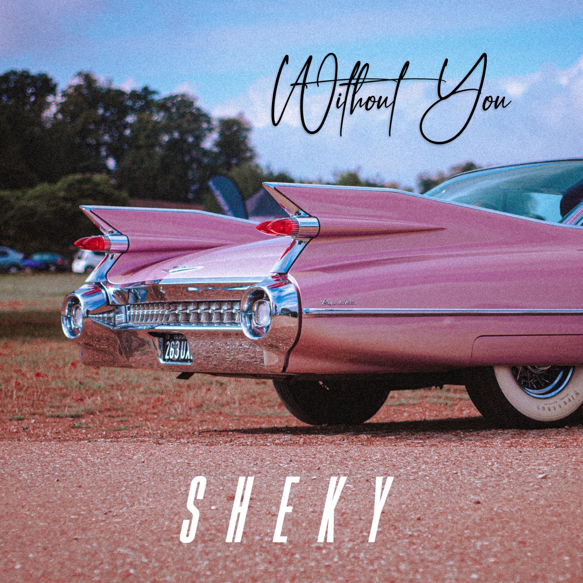 Without You - Single by Sheky album cover