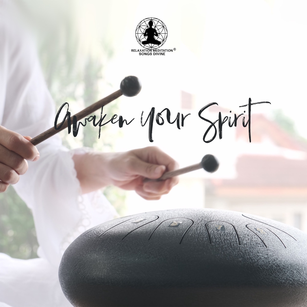 Awaken Your Spirit: Healing Steel Tongue Drum Sounds and Nature for Meditation and Relaxation by Relaxation Meditation Songs Divine album cover