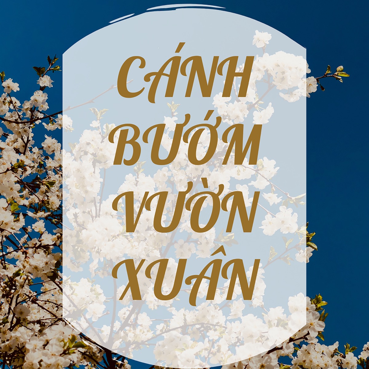 Cánh Bướm Vườn Xuân - EP by BDMedia album cover