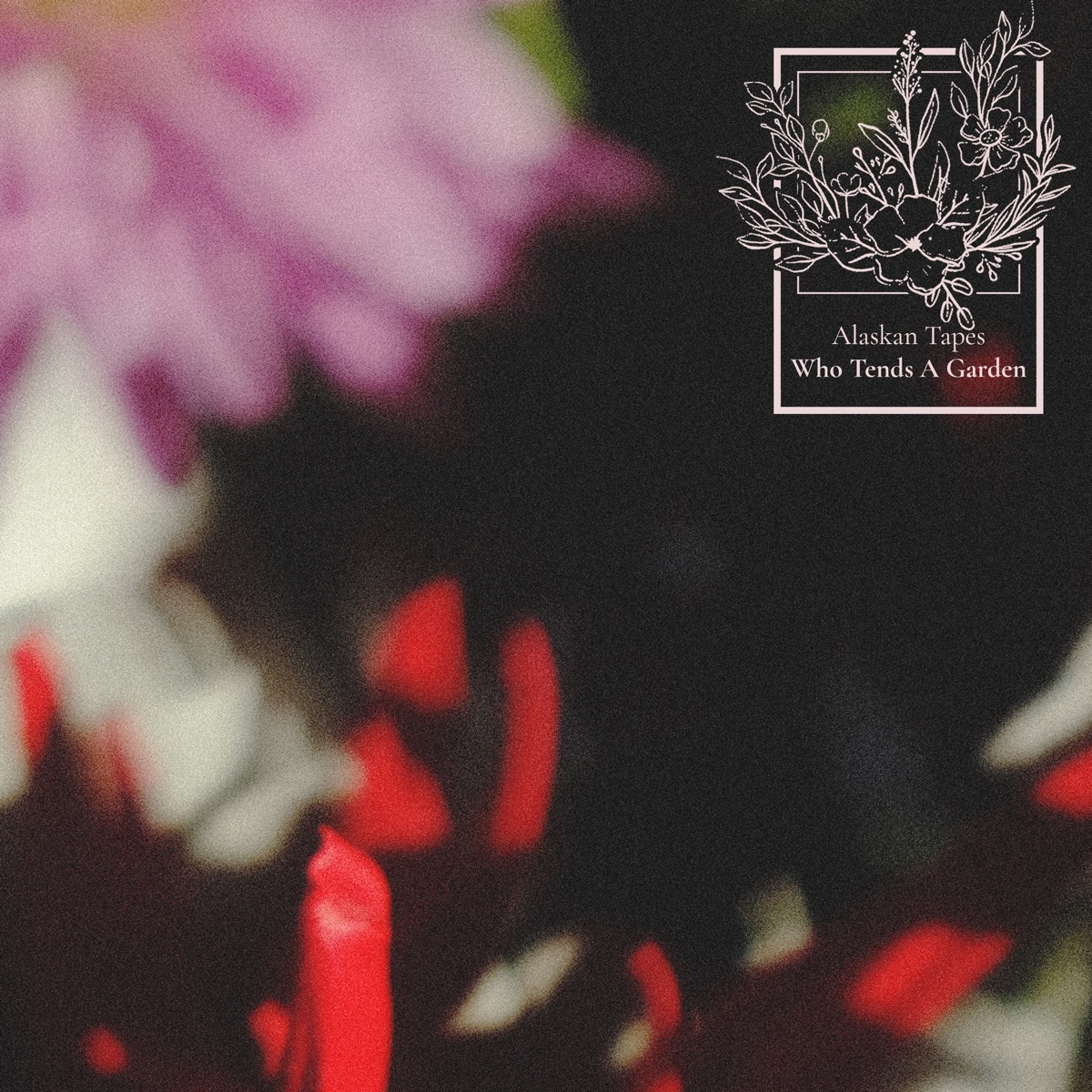 Who Tends a Garden by Alaskan Tapes album cover