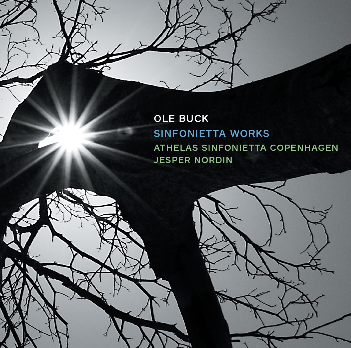 Ole Buck: Sinfonietta Works by Athelas Sinfonietta Copenhagen & Jesper Nordin album cover