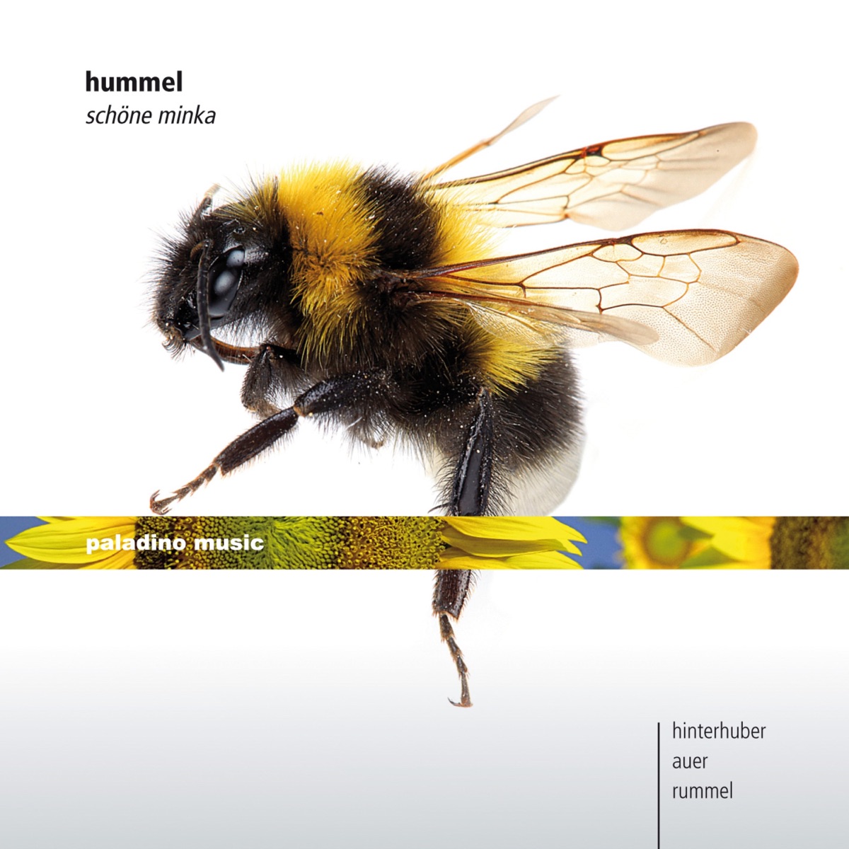 Hummel: Piano Sonata No. 5, Cello Sonata & Flute Trio by Christopher Hinterhuber, Walter Auer & Martin Rummel album cover