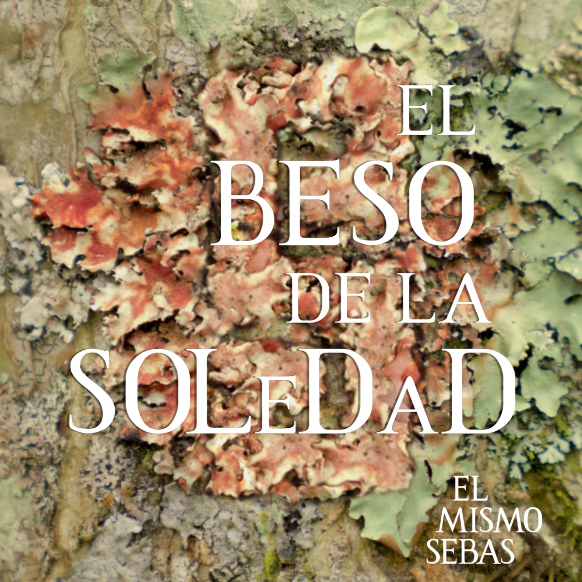 El Beso de la Soledad - Single by ElMismoSebas album cover