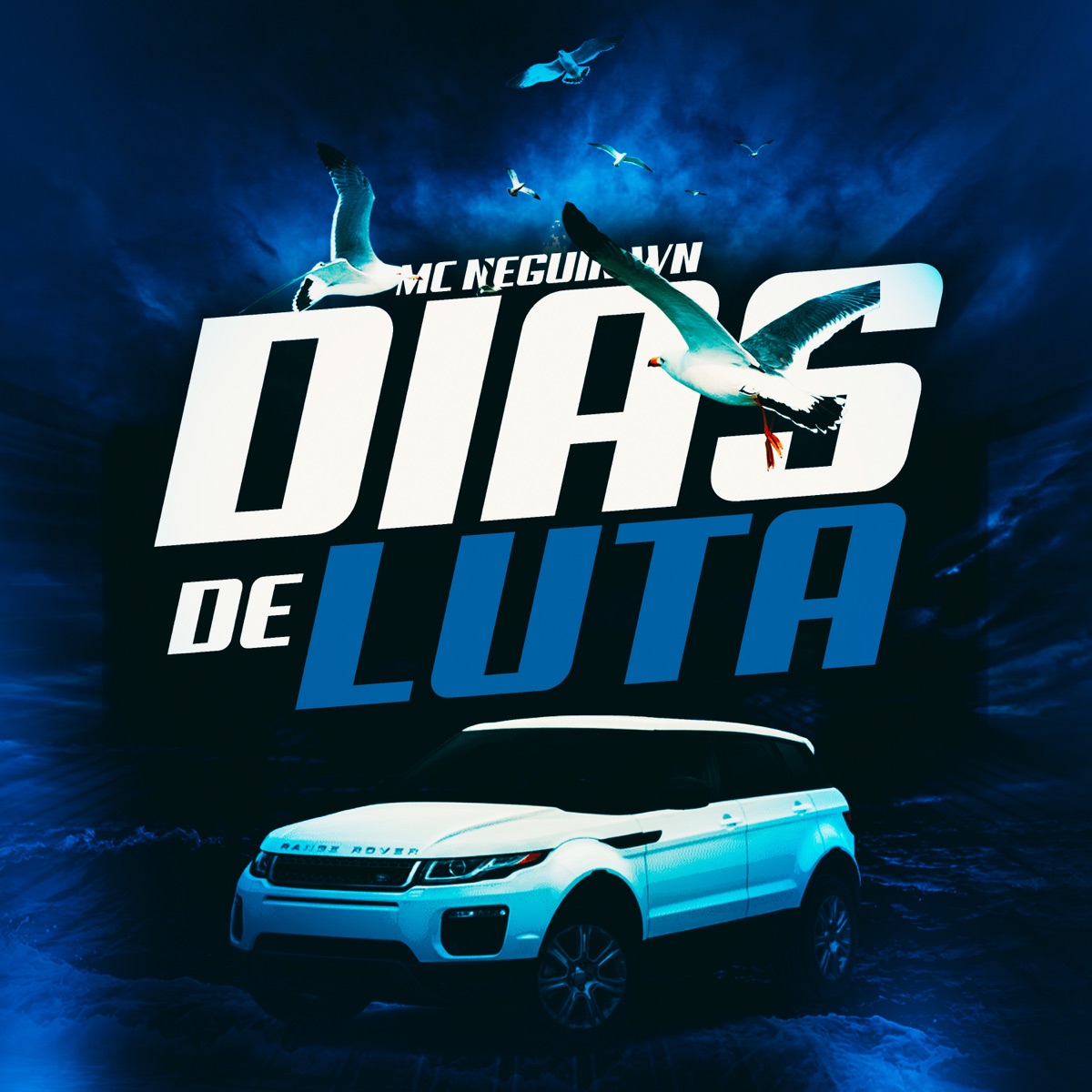 Dias de Luta - Single by Mc Neguin Wm album cover