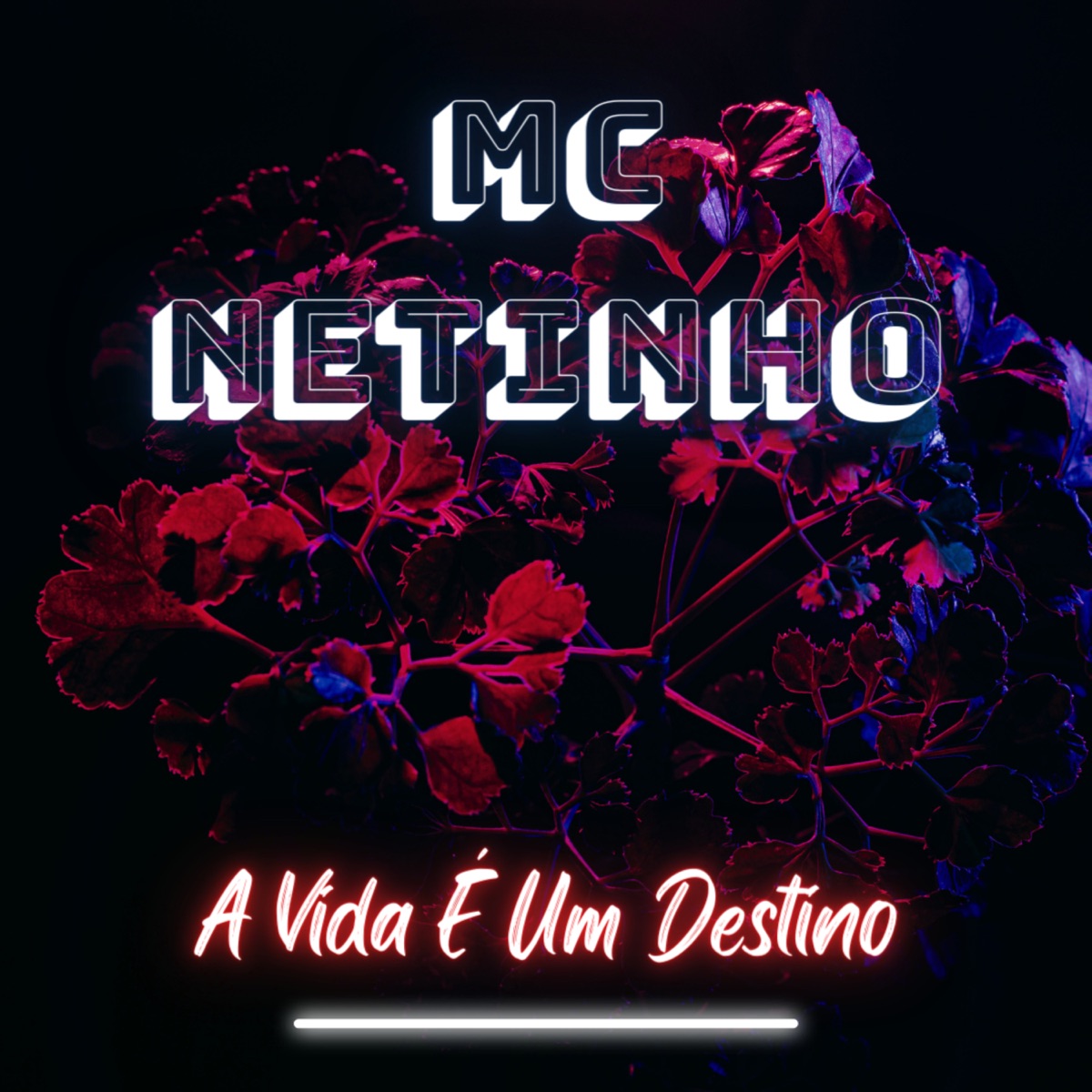 A Vida É um Destino - Single by MC Netinho album cover