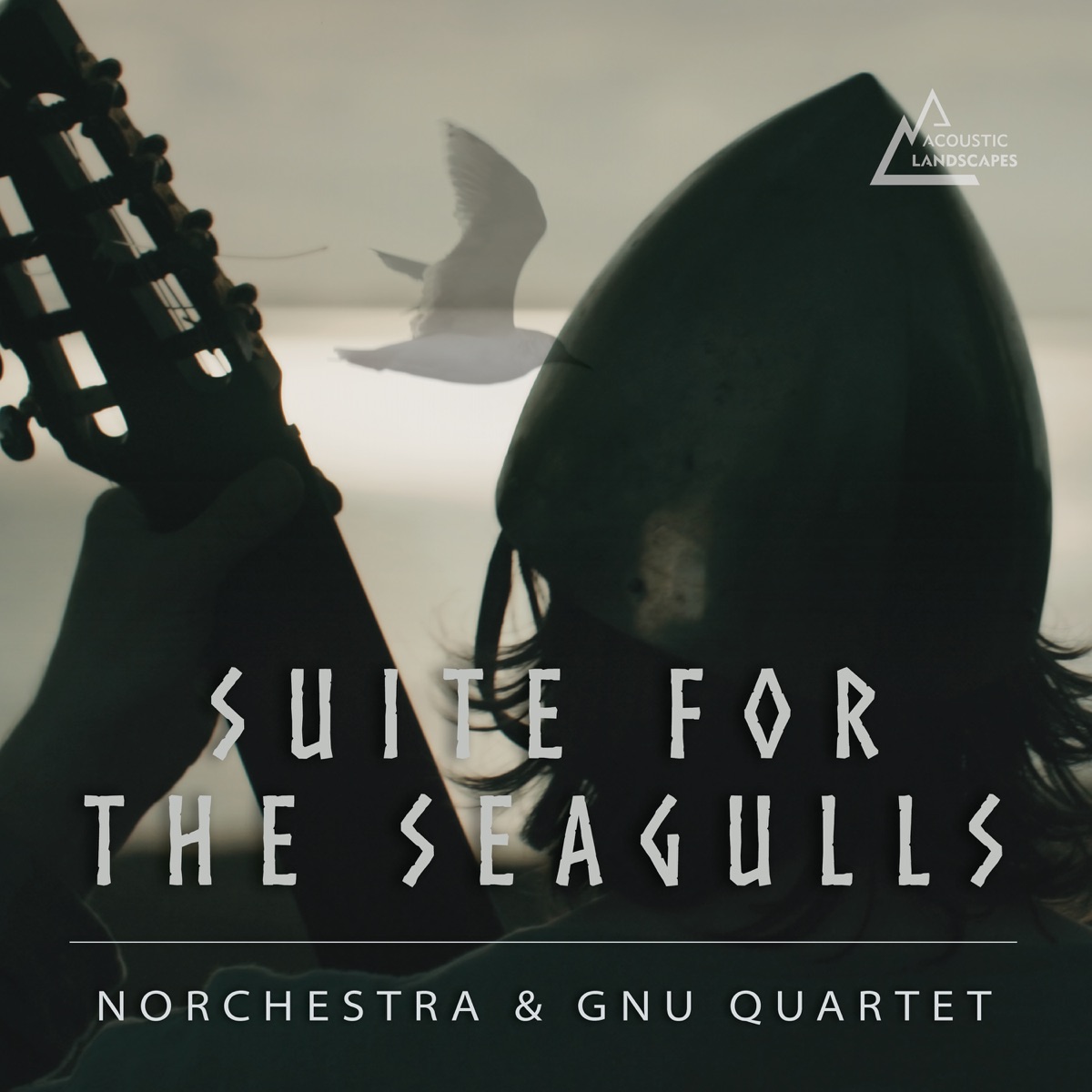 Suite for the Seagulls by Norchestra & Gnu Quartet album cover