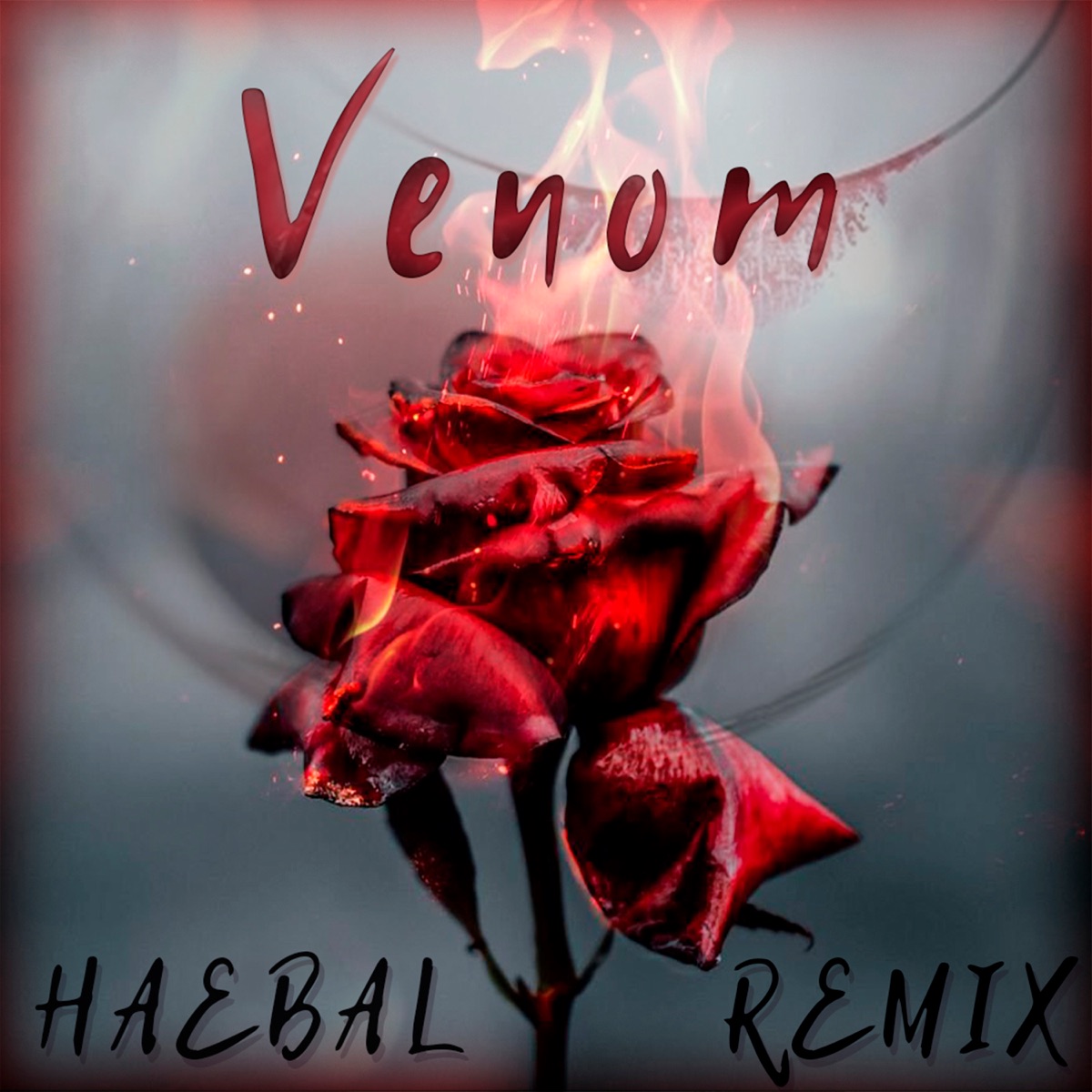 Venom (Remix) - Single by HAEBAL album cover